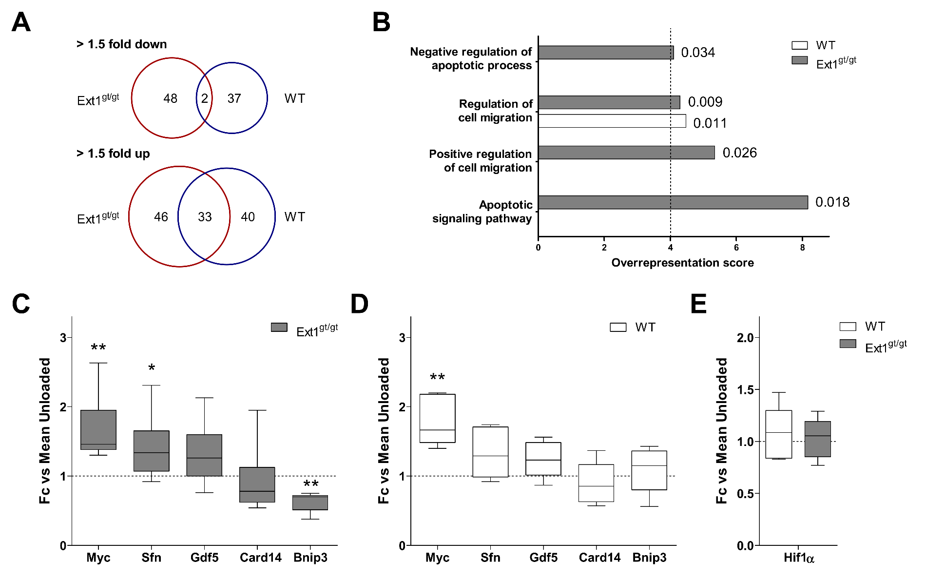 Ijms 22 03726 g005 Ijms 22 03726 g005