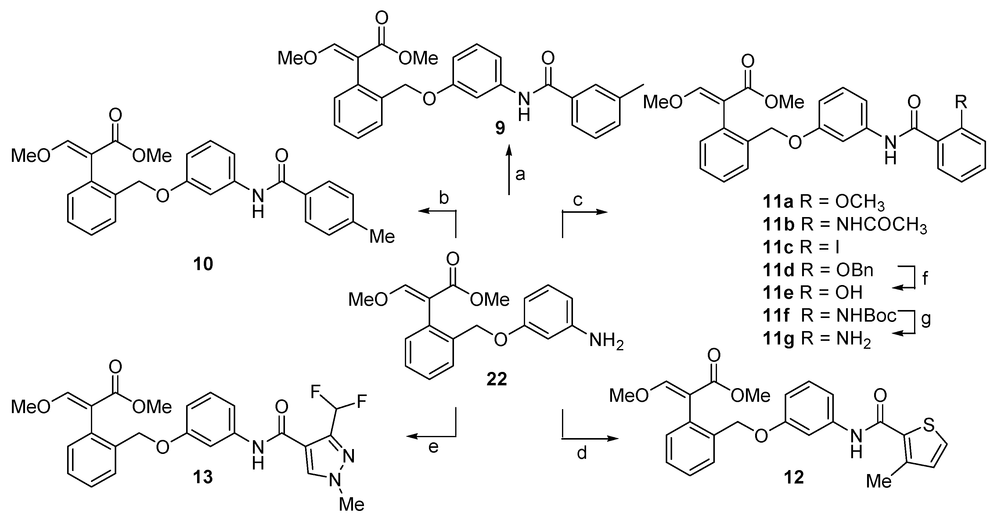 Ijms 22 03731 sch002