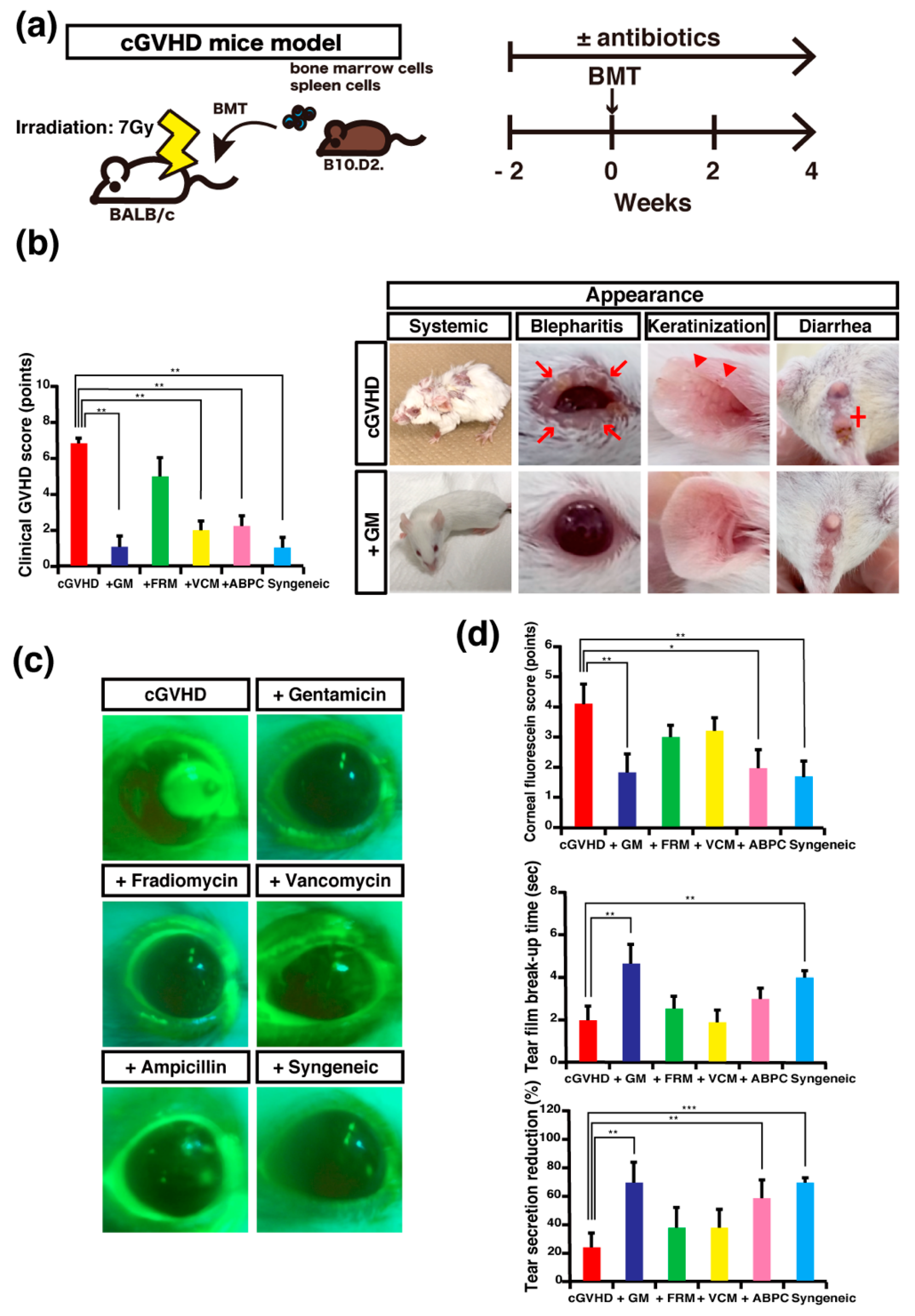 Ijms 22 03745 g001 Ijms 22 03745 g001