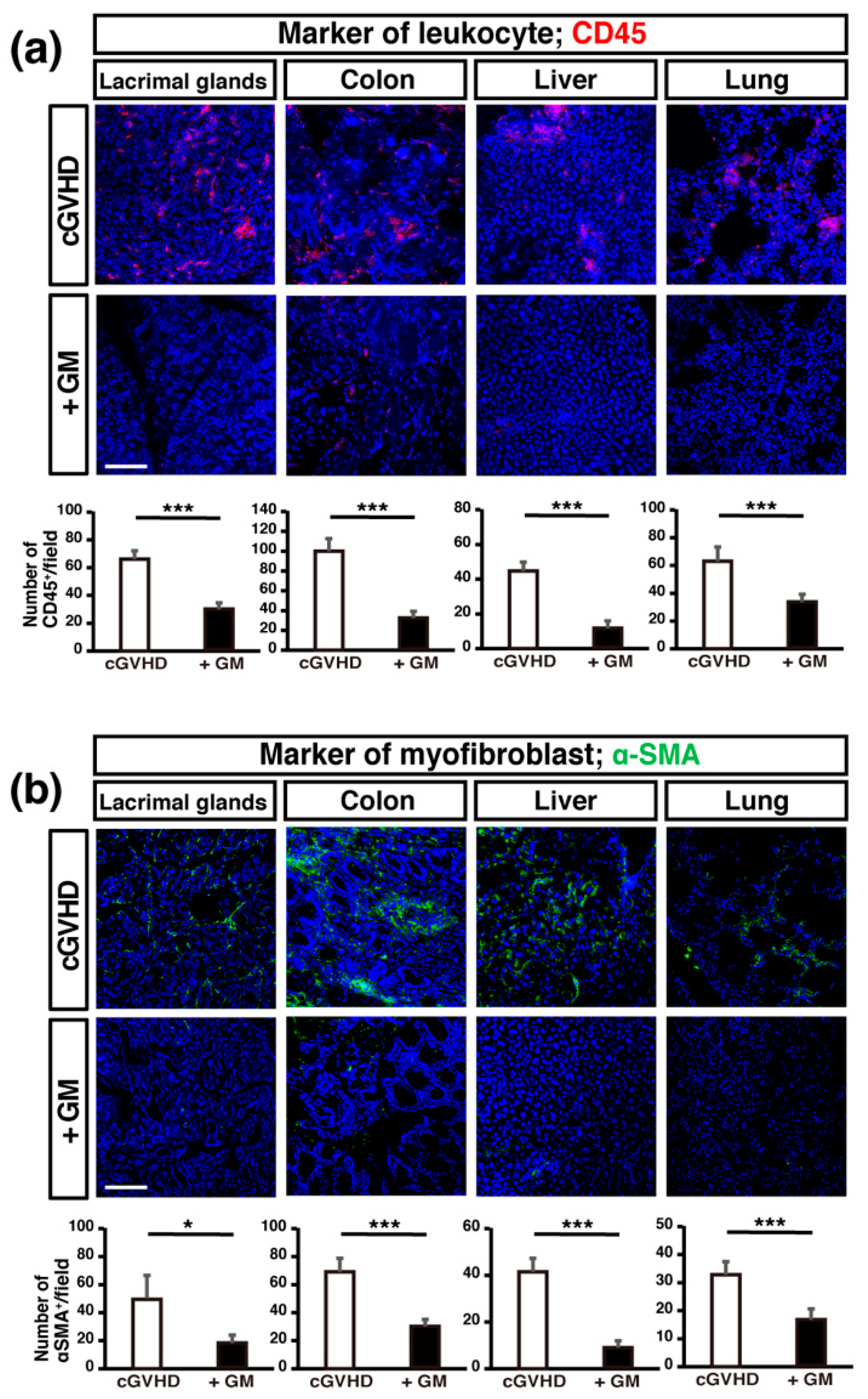 Ijms 22 03745 g003 Ijms 22 03745 g003