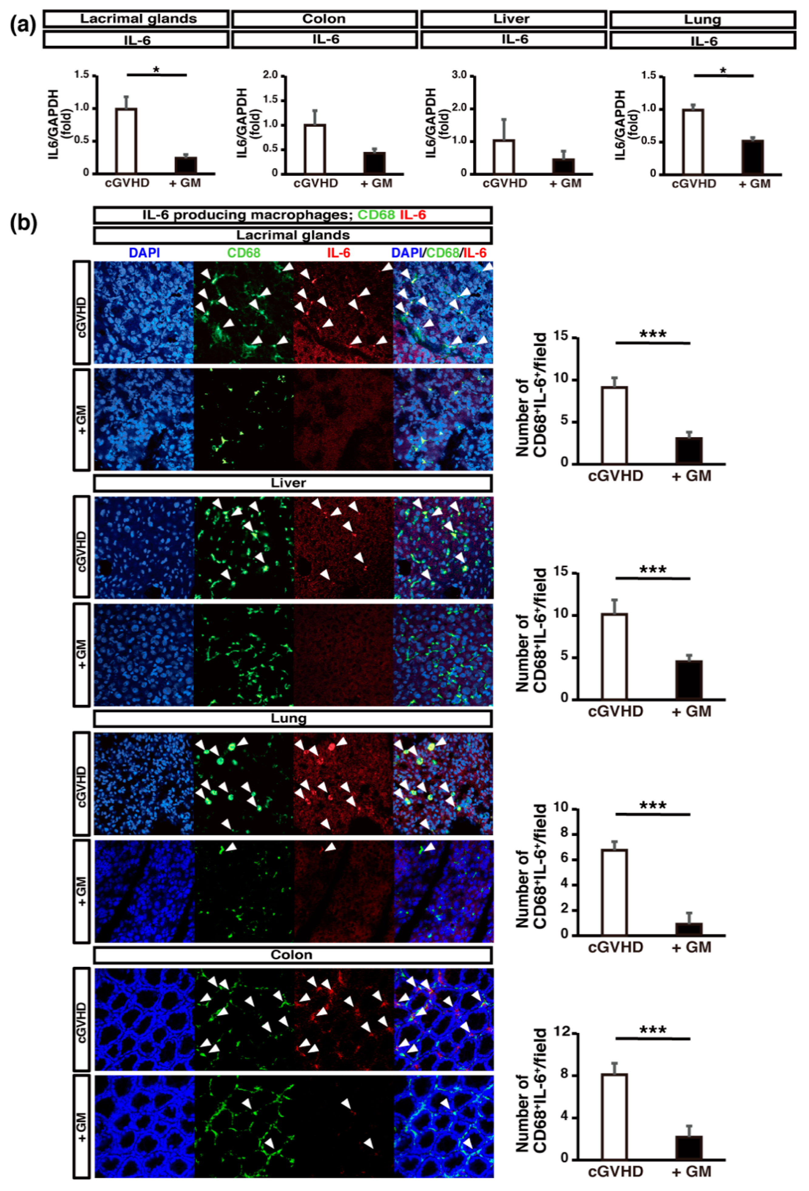 Ijms 22 03745 g006 Ijms 22 03745 g006