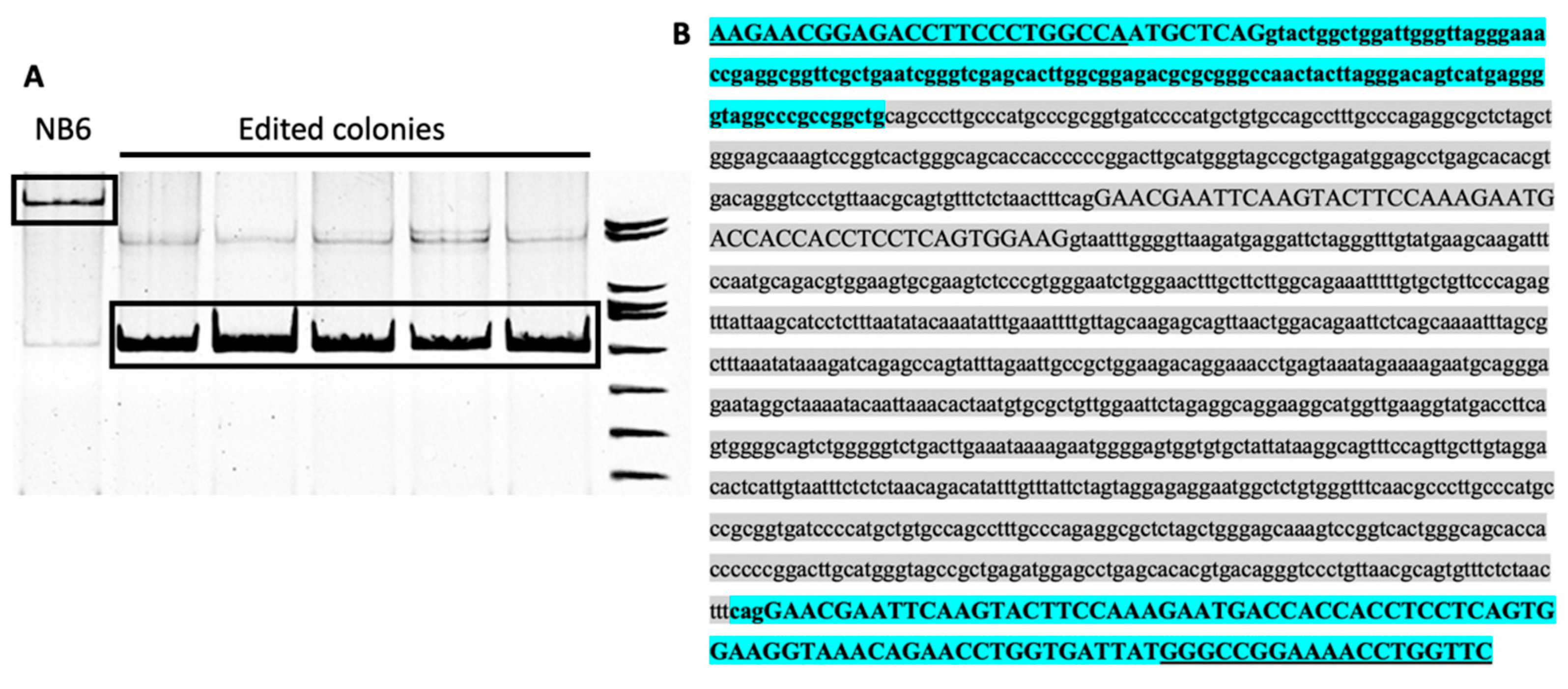 Ijms 22 03784 g003 Ijms 22 03784 g003