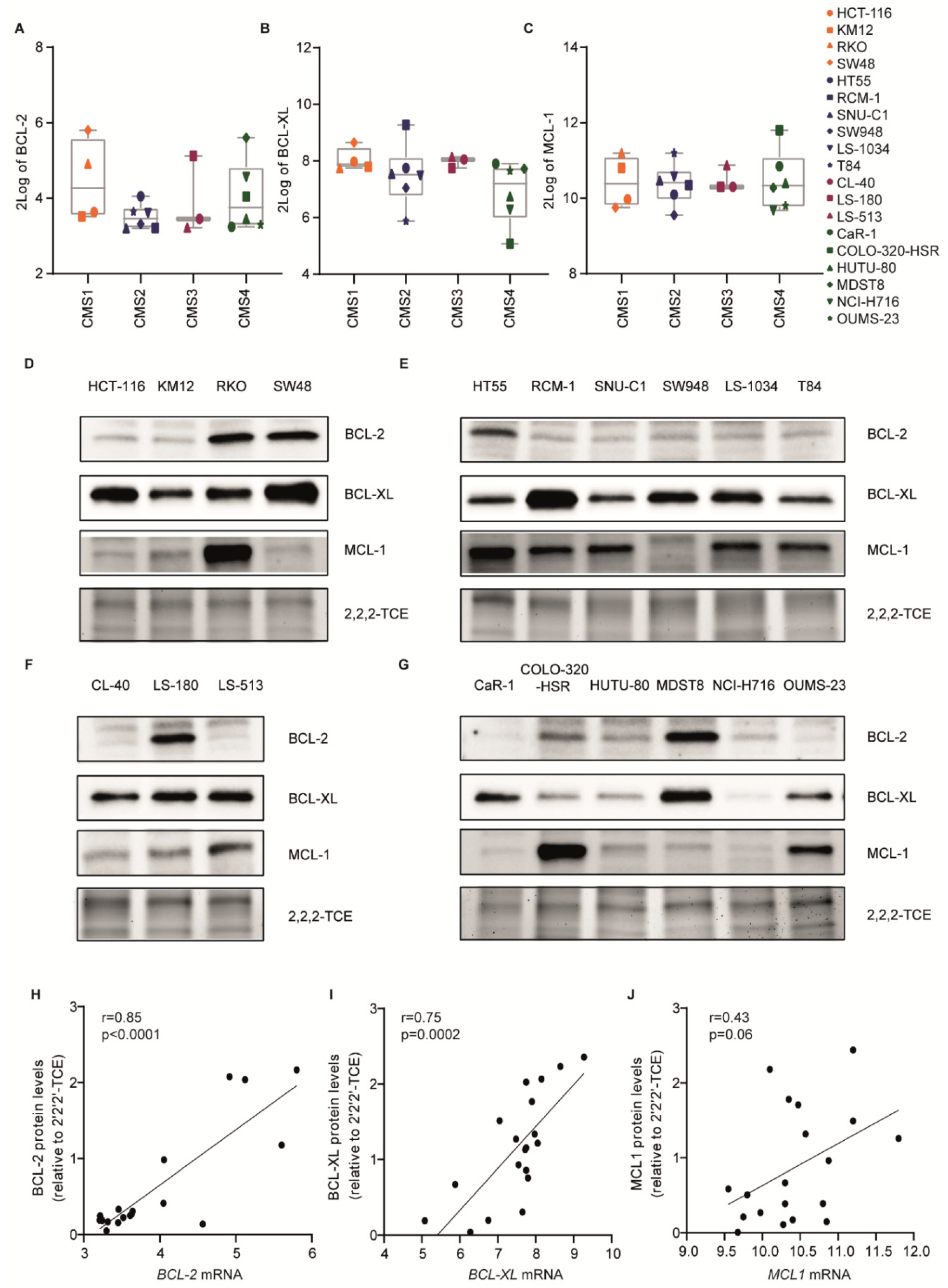 Ijms 22 03811 g003 Ijms 22 03811 g003