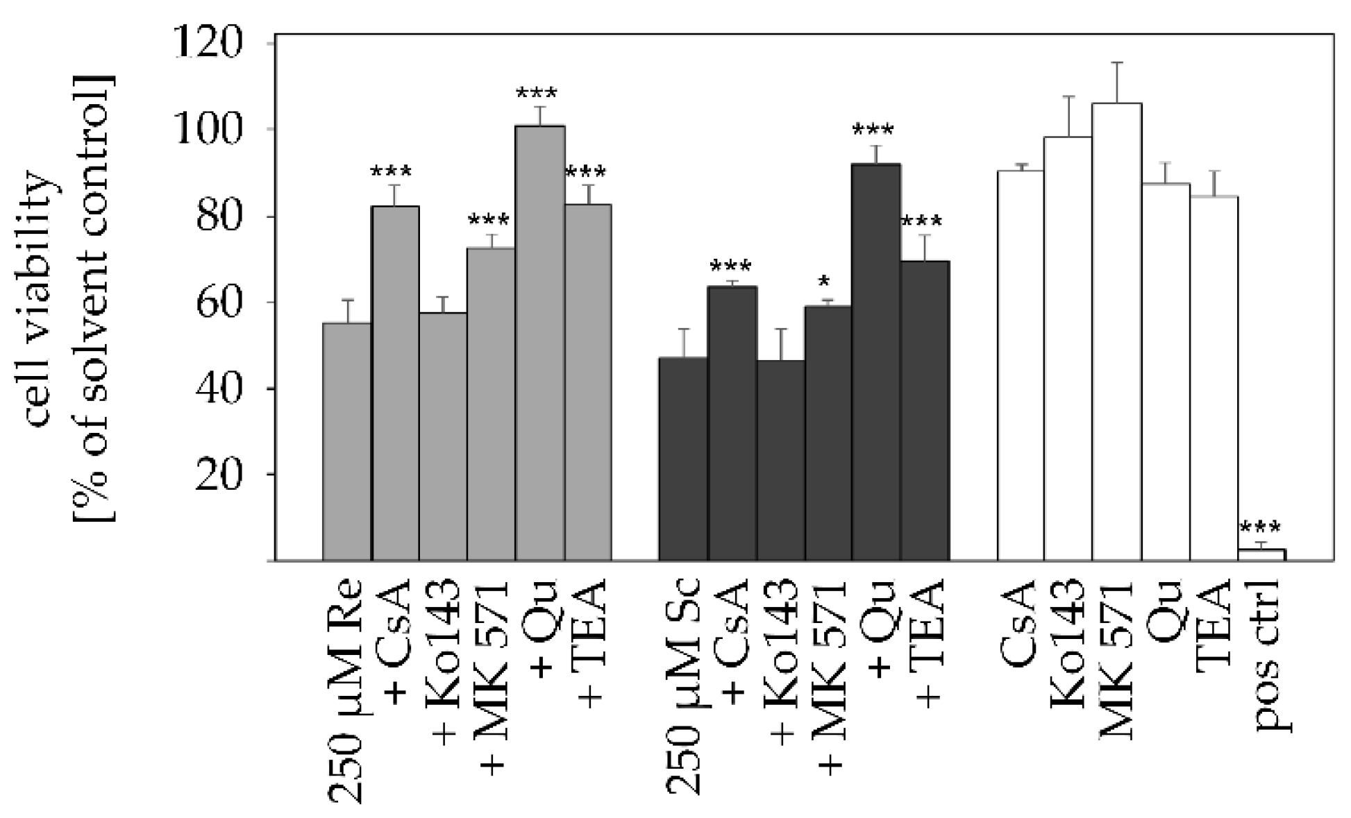 Ijms 22 03821 g004 Ijms 22 03821 g004