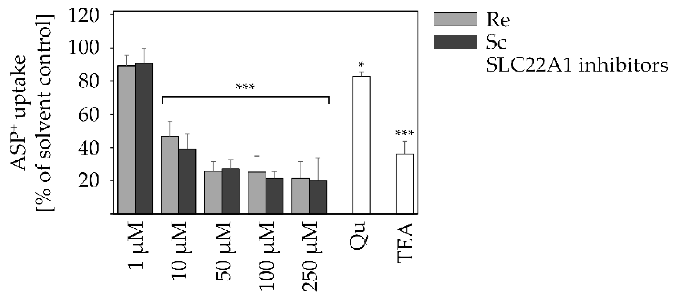Ijms 22 03821 g005 Ijms 22 03821 g005
