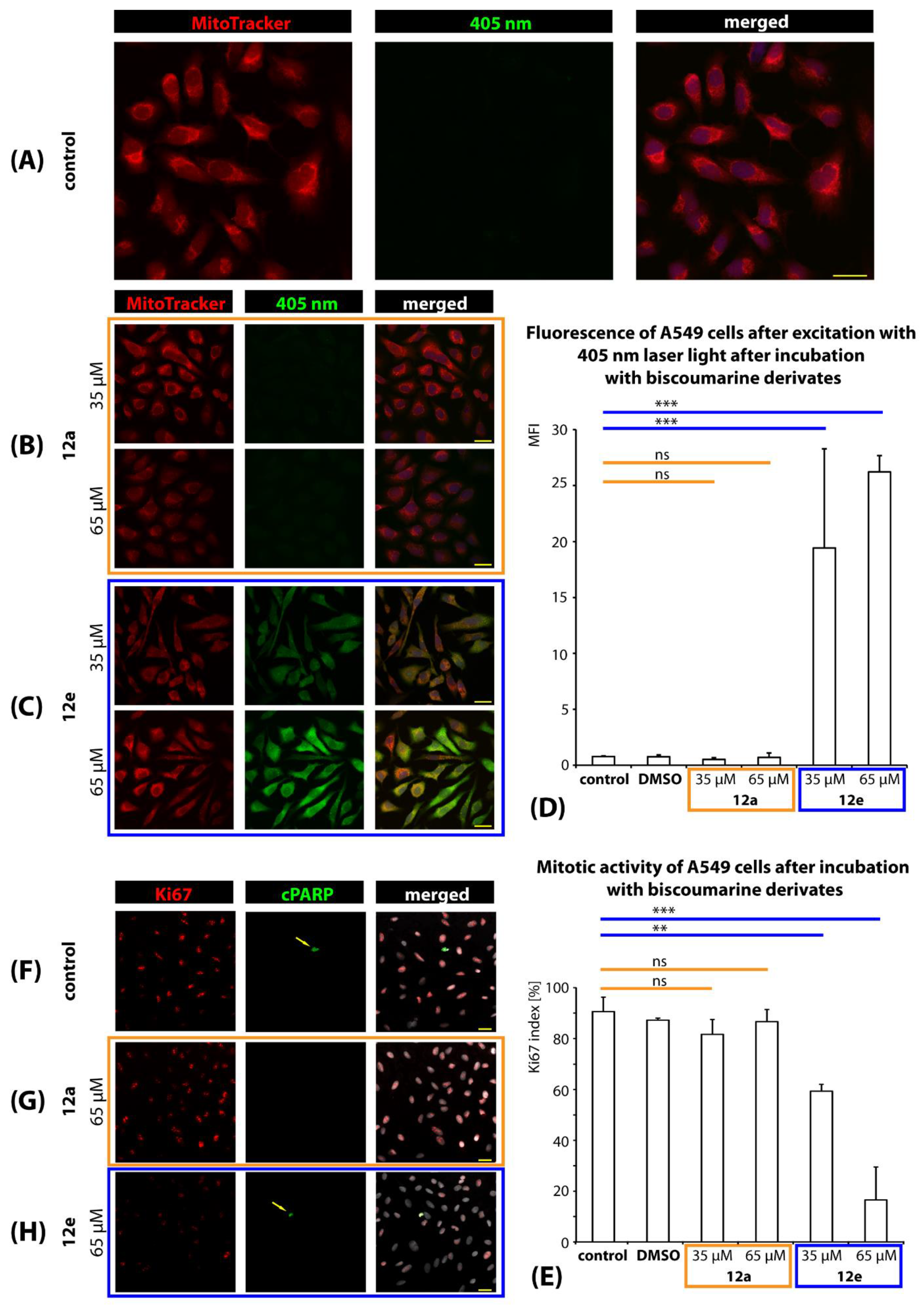 Ijms 22 03830 g007 Ijms 22 03830 g007