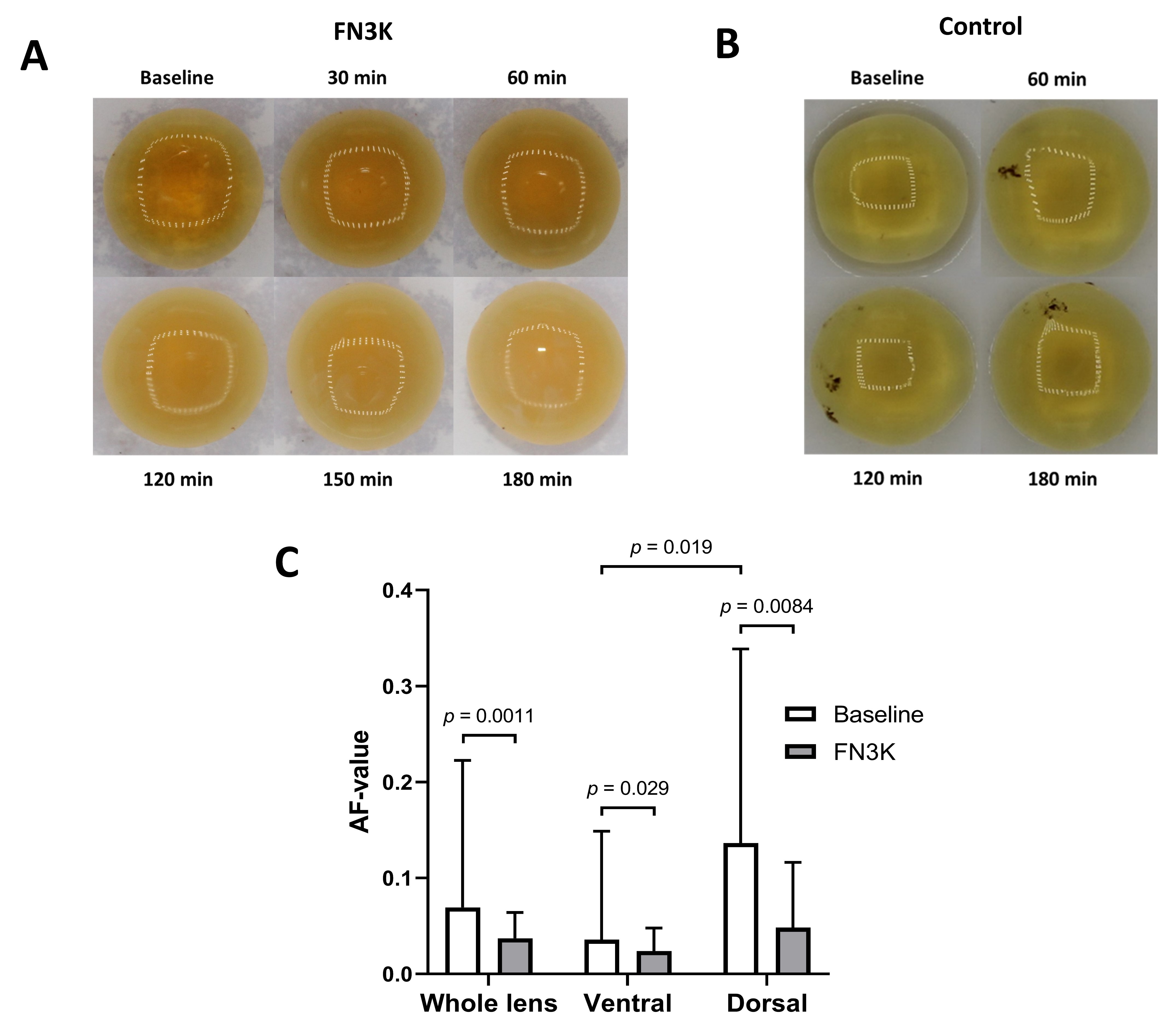 Ijms 22 03841 g009 Ijms 22 03841 g009