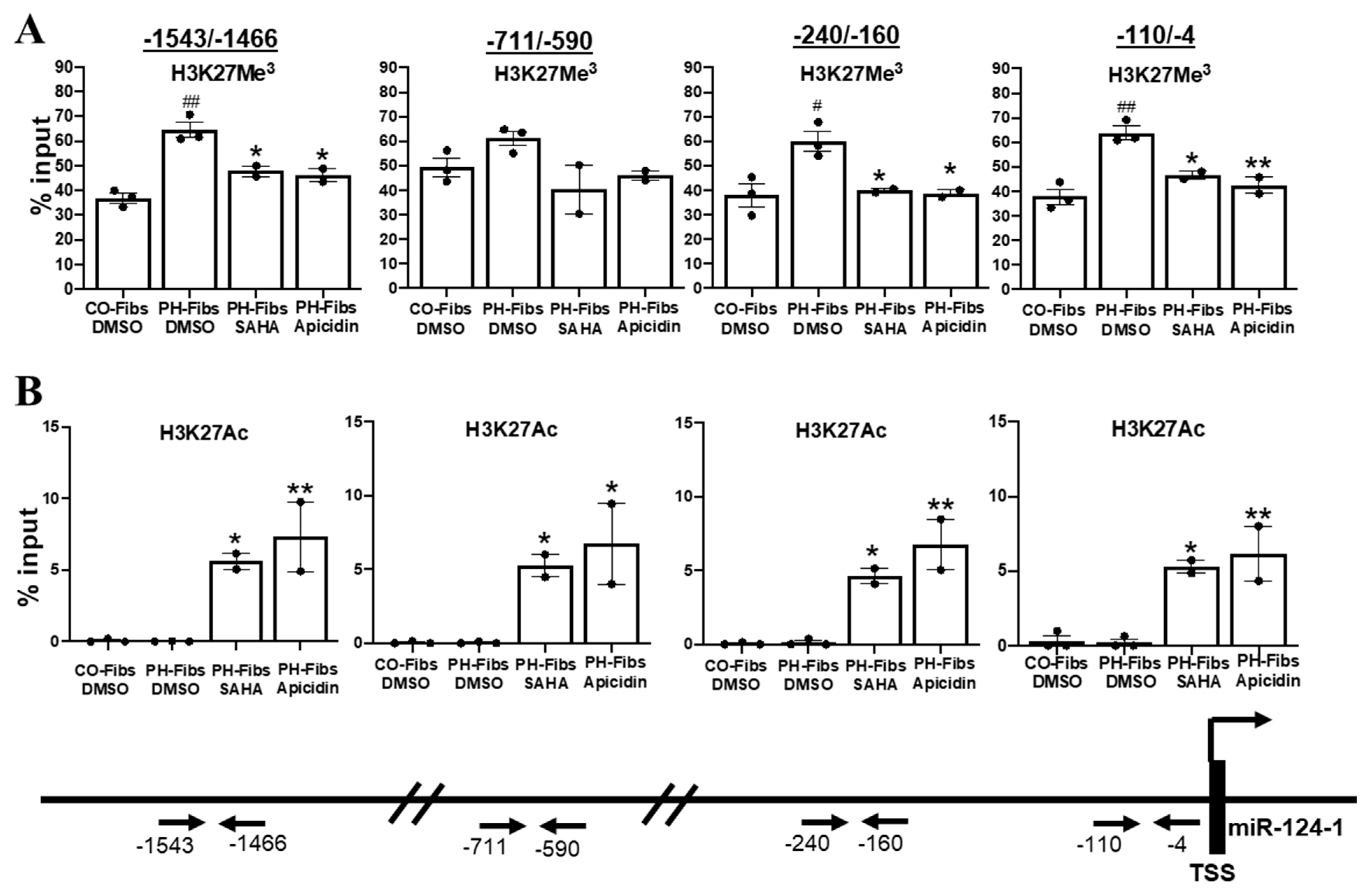 Ijms 22 03852 g005 Ijms 22 03852 g005