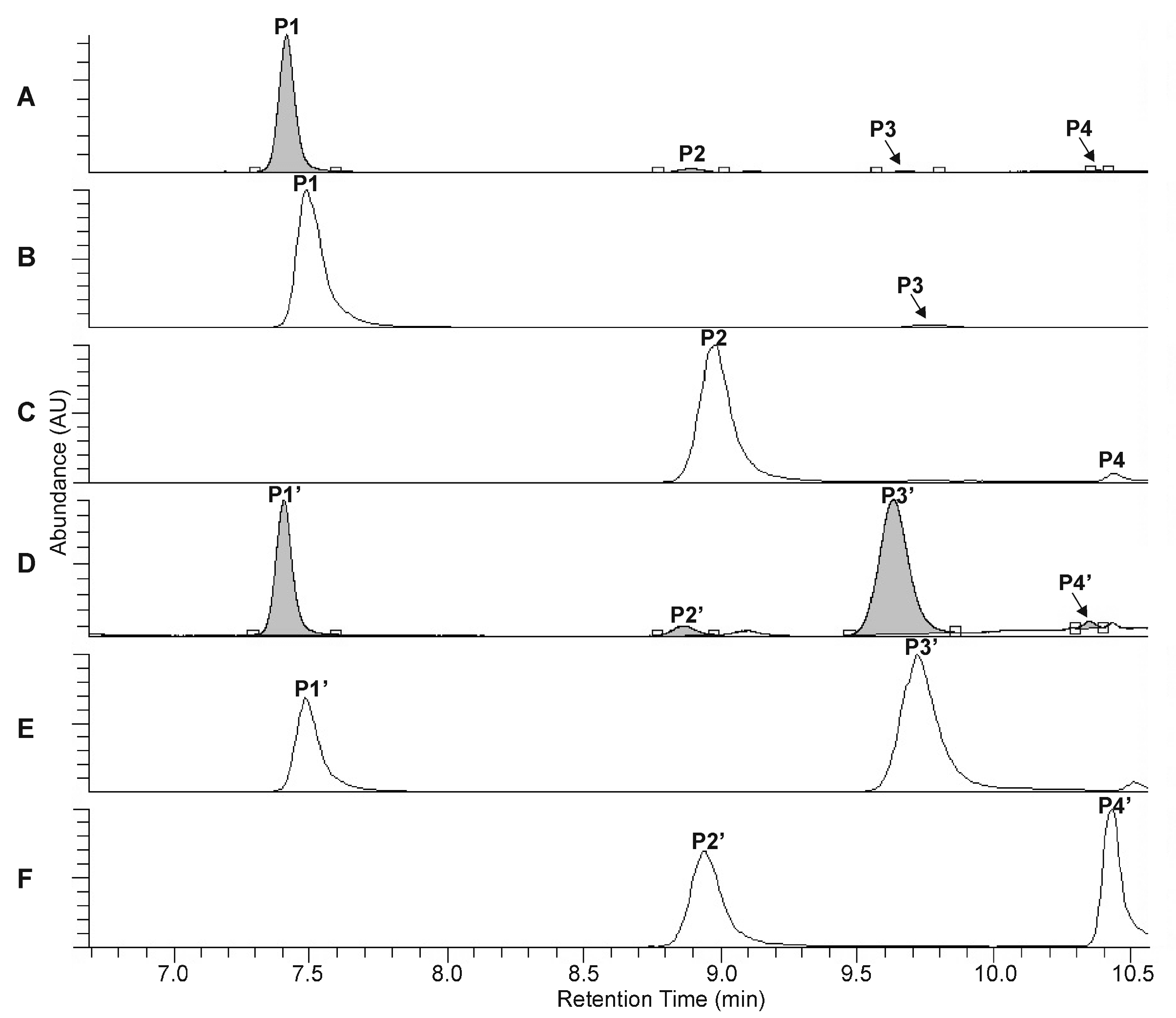 Ijms 22 03880 g002 Ijms 22 03880 g002