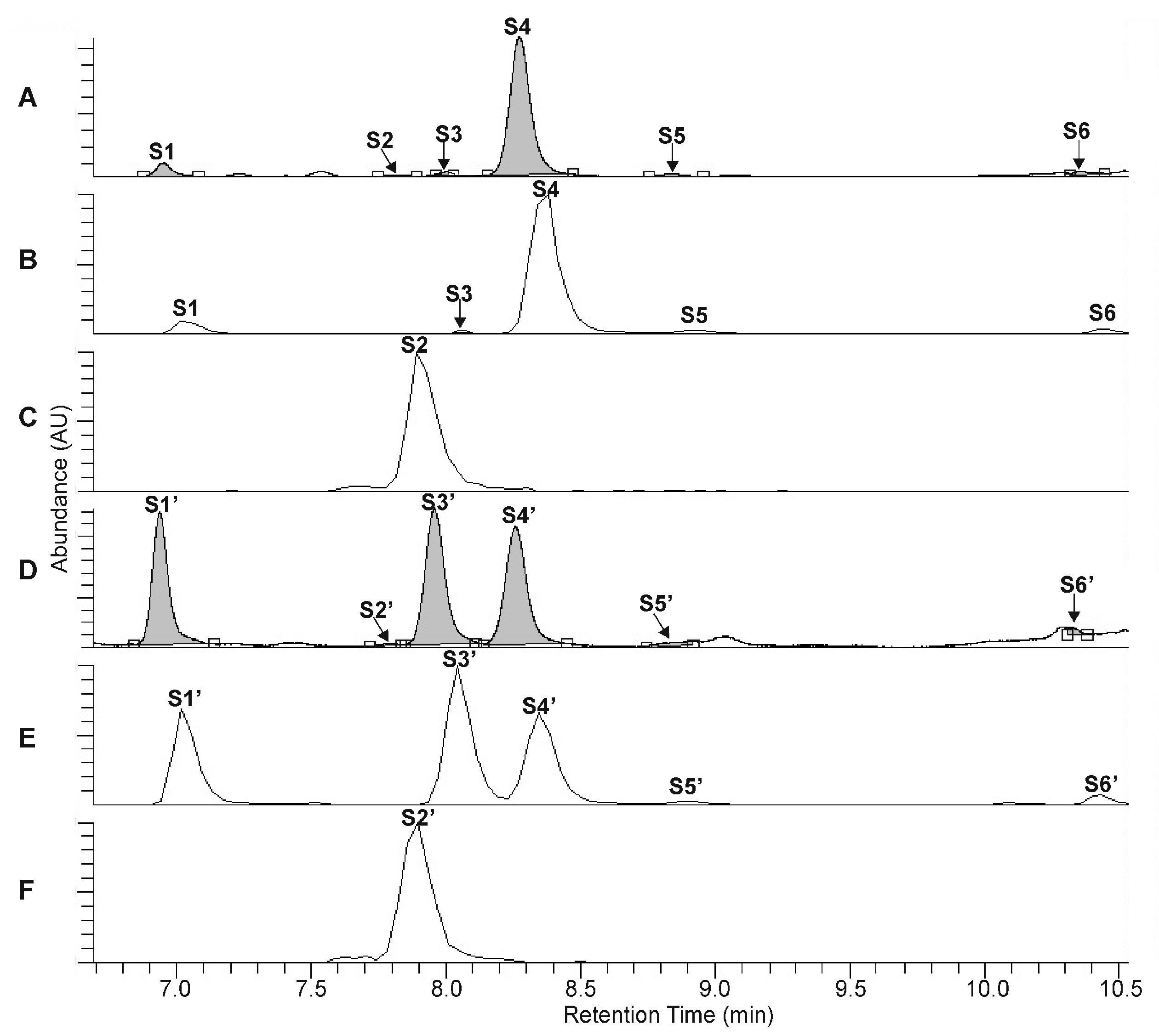 Ijms 22 03880 g003 Ijms 22 03880 g003