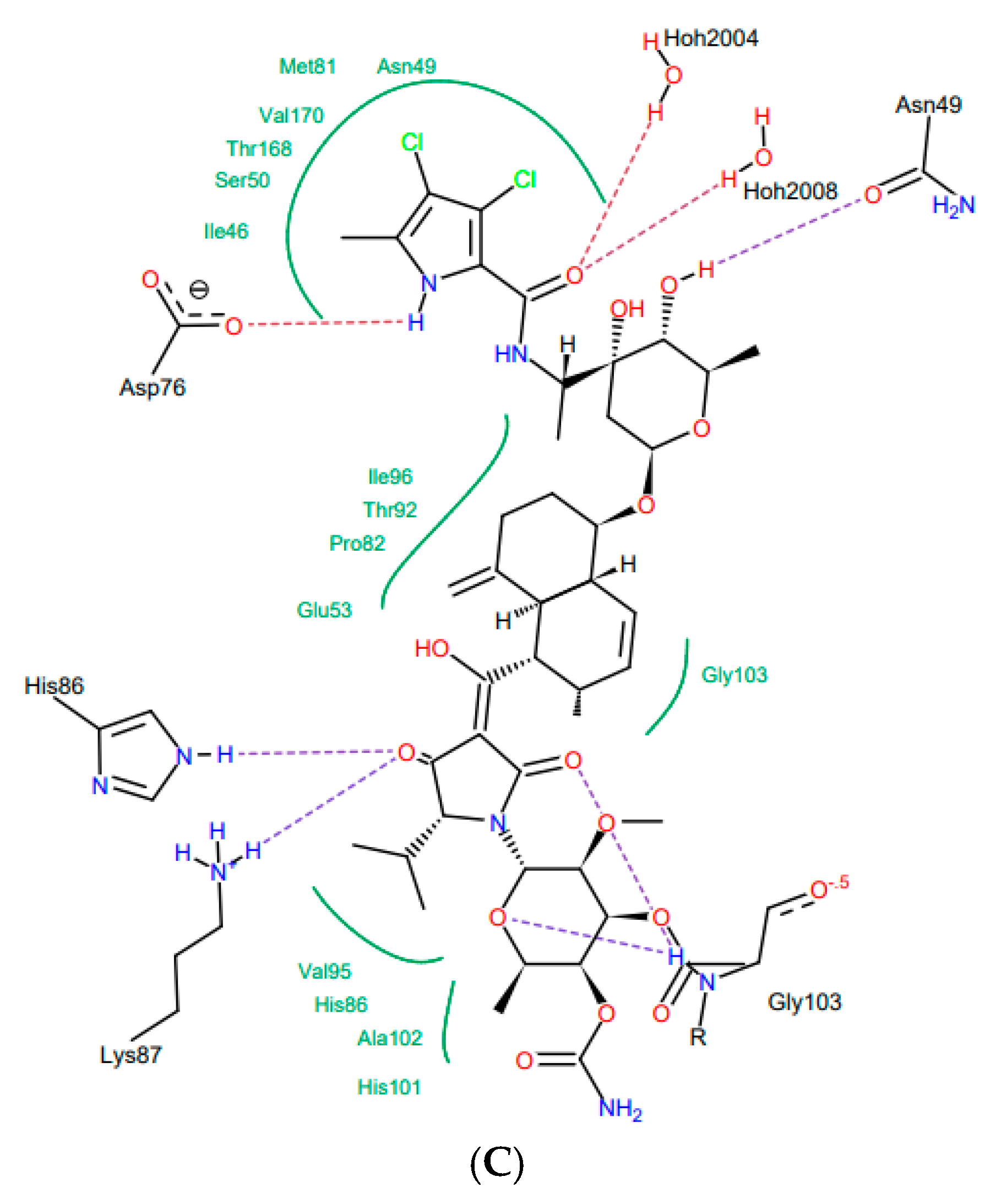 Ijms 22 03881 g002b Ijms 22 03881 g002b