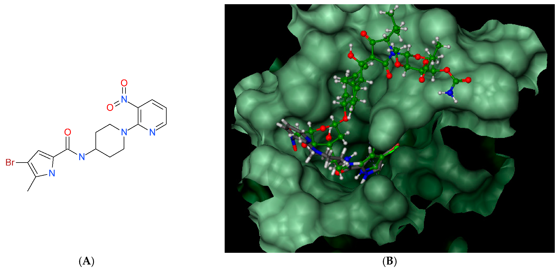 Ijms 22 03881 g003a Ijms 22 03881 g003a