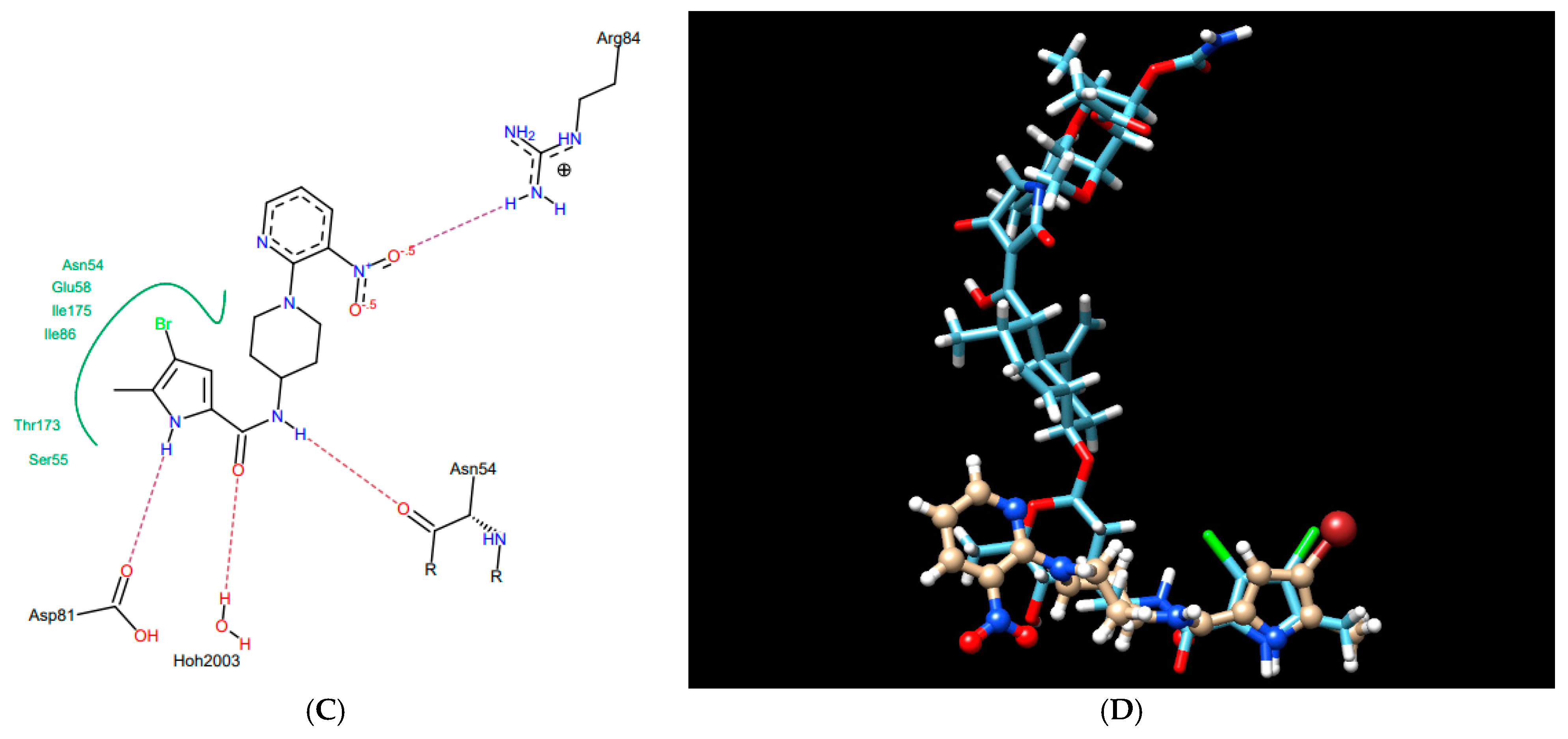 Ijms 22 03881 g003b Ijms 22 03881 g003b