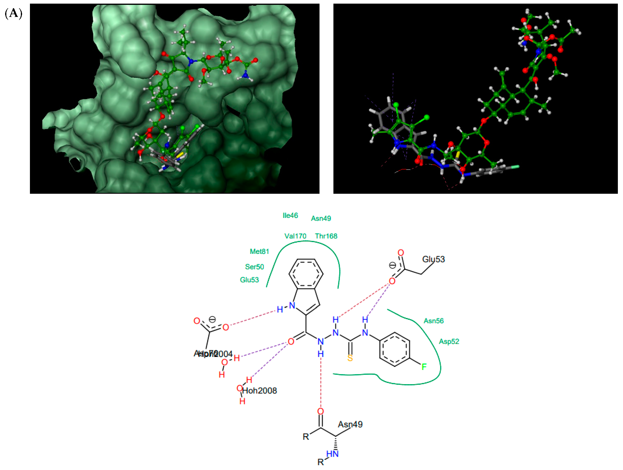 Ijms 22 03881 g004a Ijms 22 03881 g004a