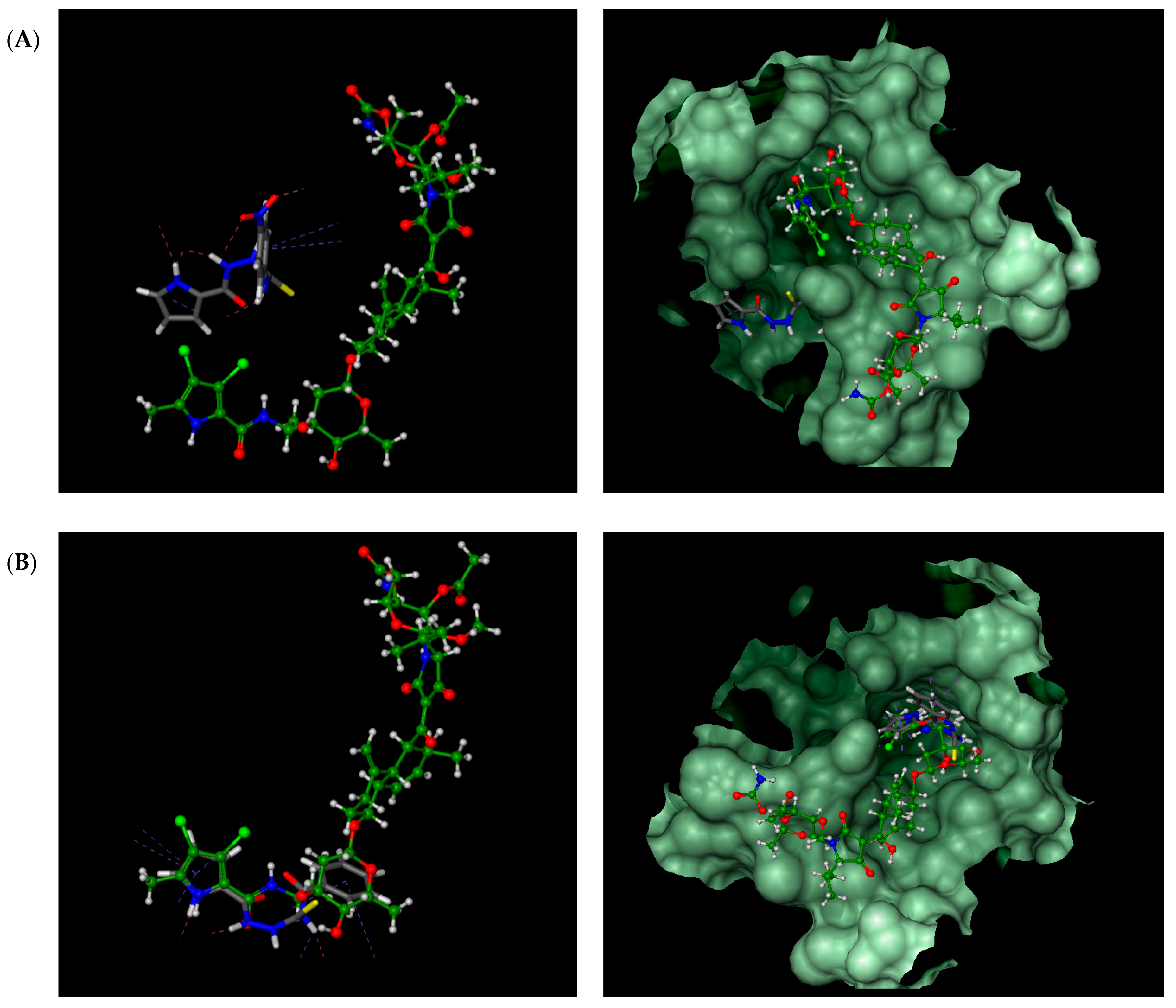 Ijms 22 03881 g005 Ijms 22 03881 g005