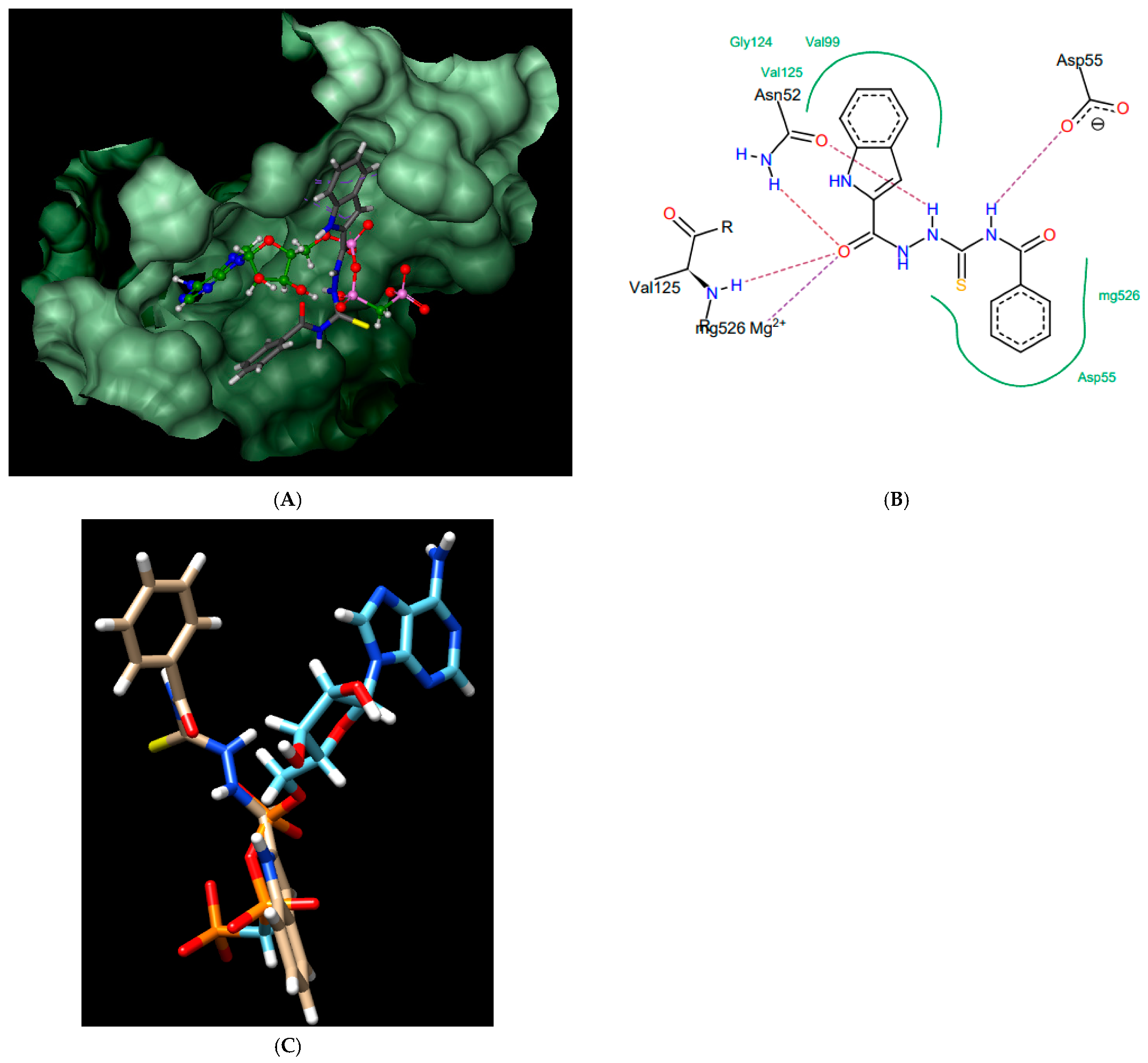 Ijms 22 03881 g006 Ijms 22 03881 g006