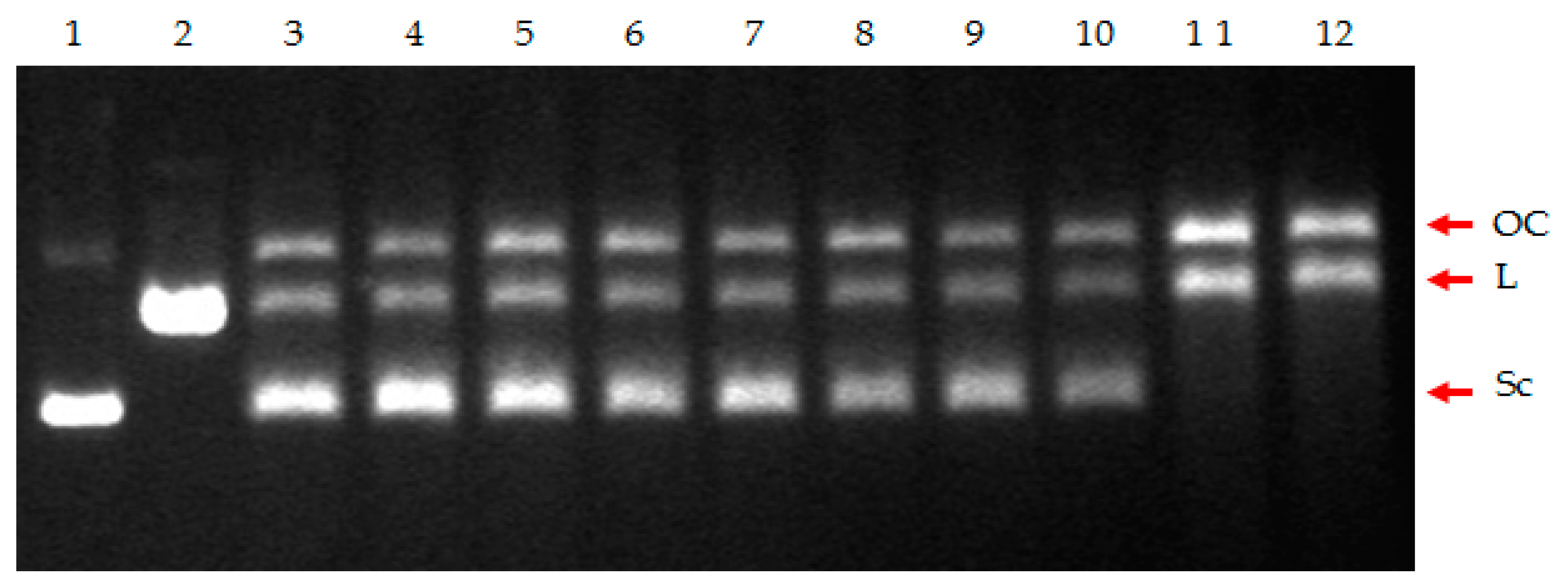 Ijms 22 03881 g007 Ijms 22 03881 g007