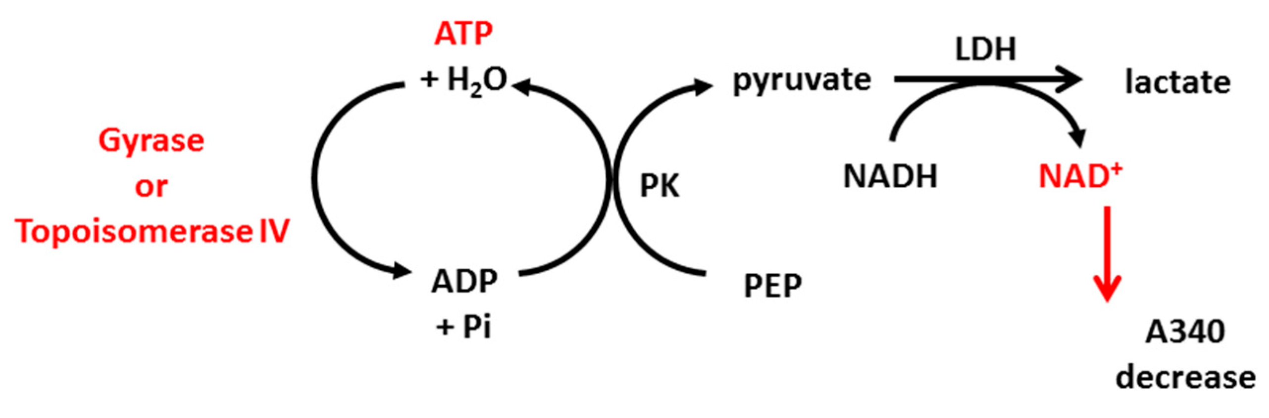 Ijms 22 03881 sch001 Ijms 22 03881 sch001