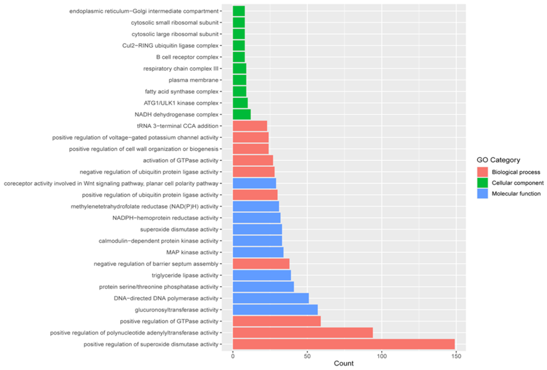 Ijms 22 03882 g004 Ijms 22 03882 g004