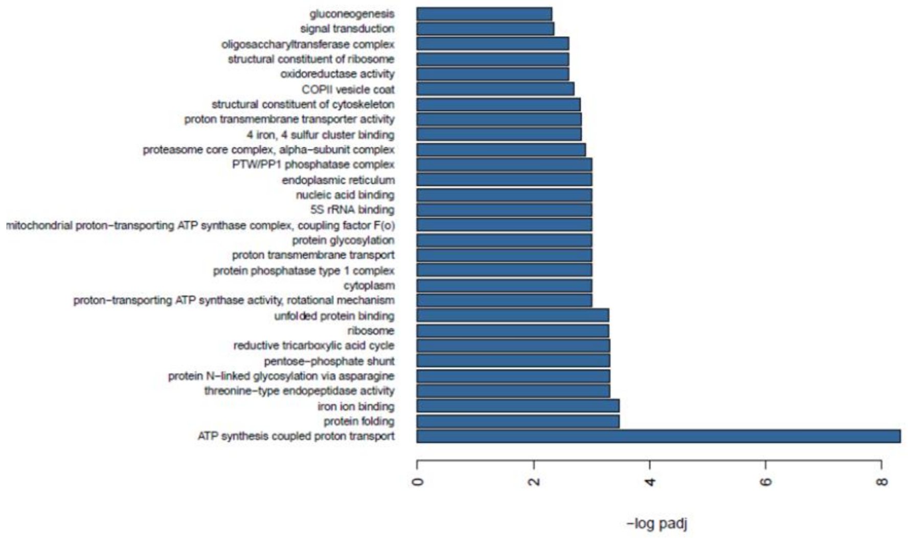 Ijms 22 03882 g006 Ijms 22 03882 g006