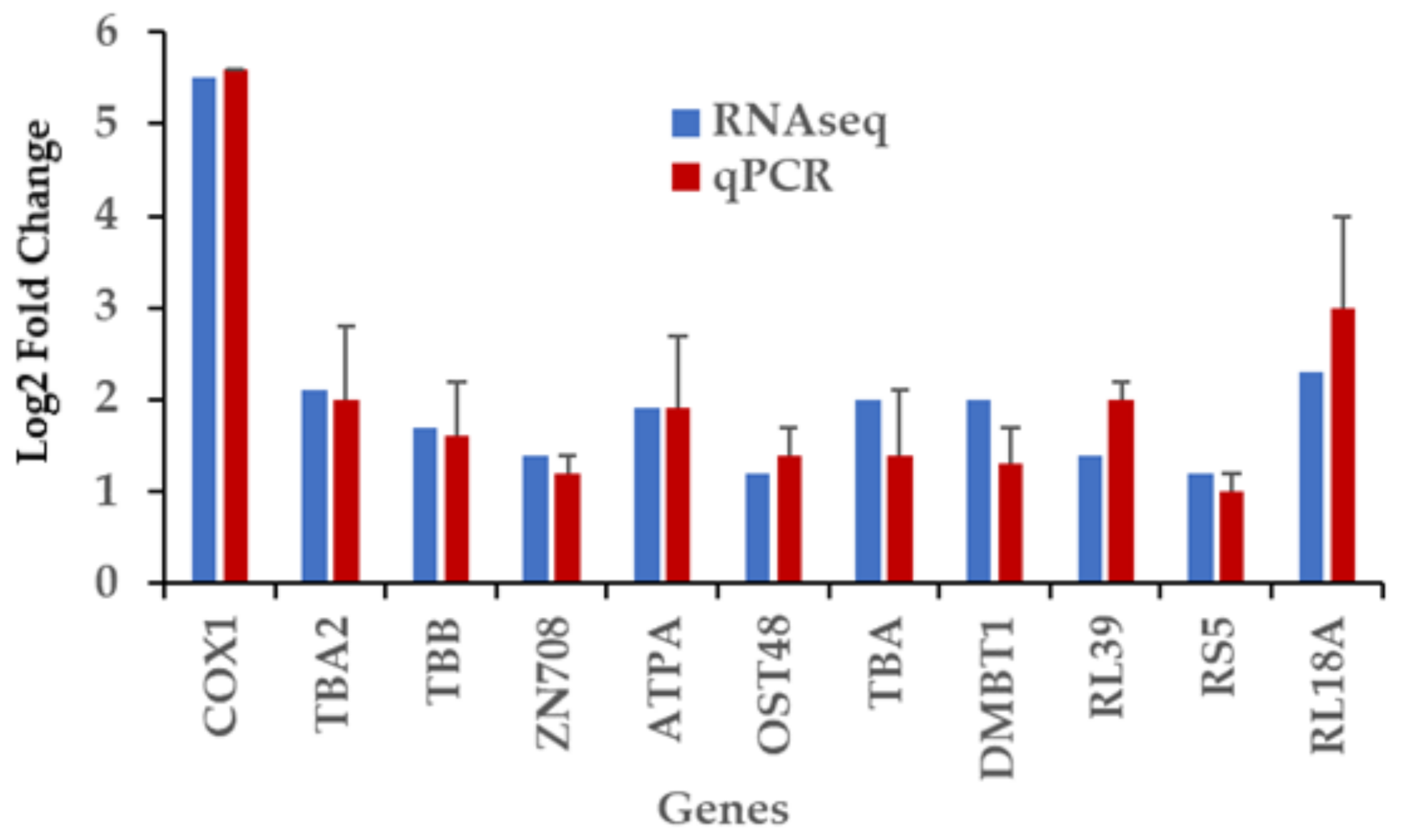 Ijms 22 03882 g007 Ijms 22 03882 g007