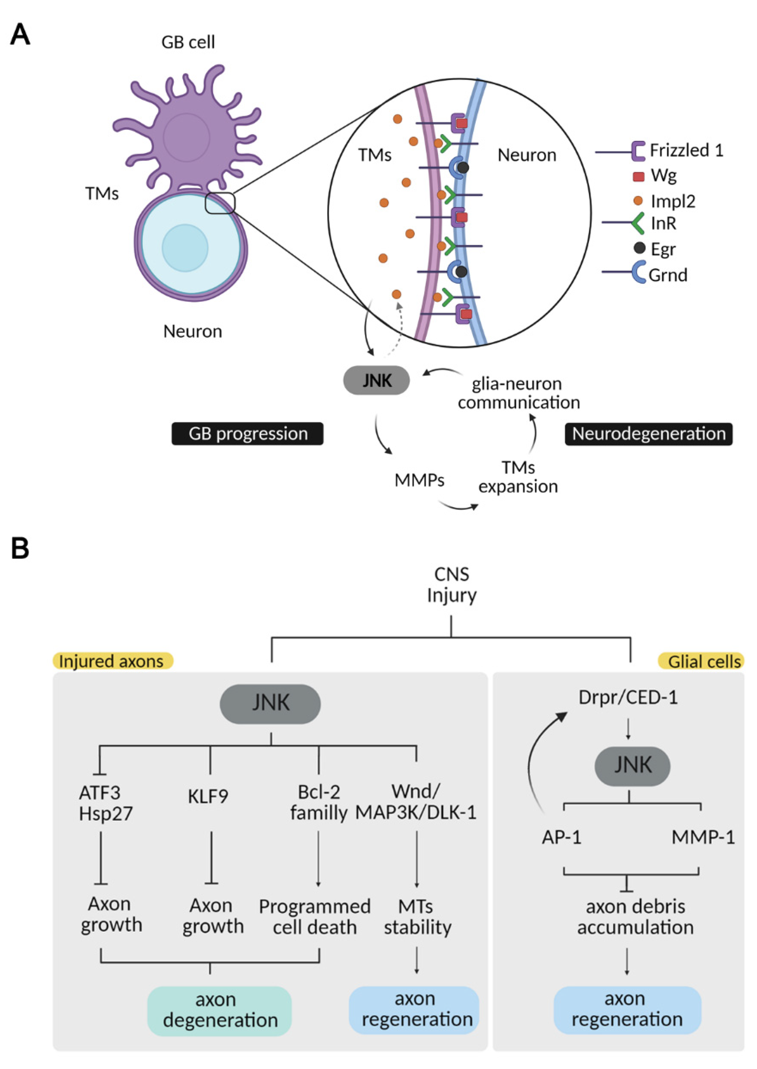 Ijms 22 03883 g002 Ijms 22 03883 g002