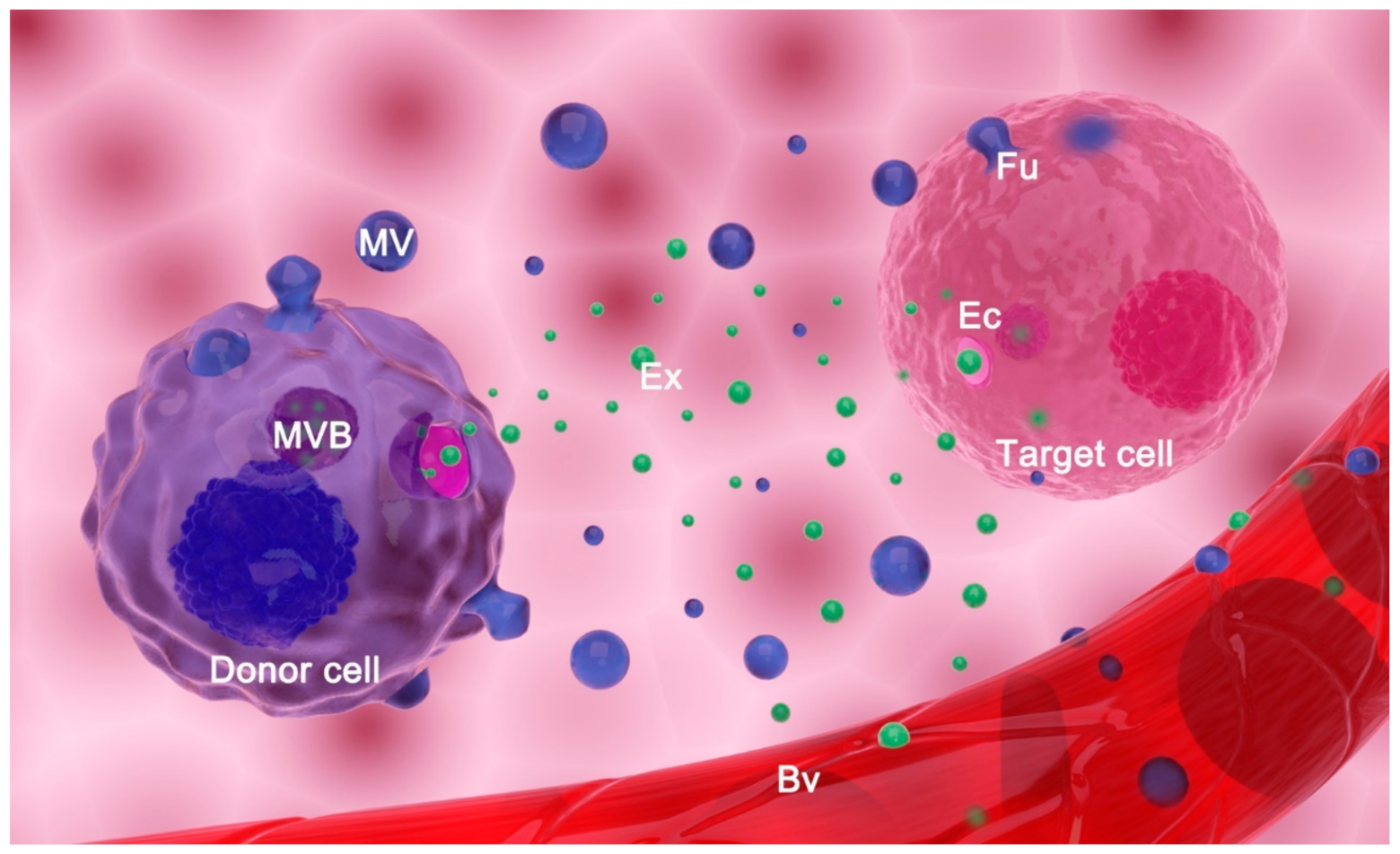 Ijms 22 03887 g001 Ijms 22 03887 g001