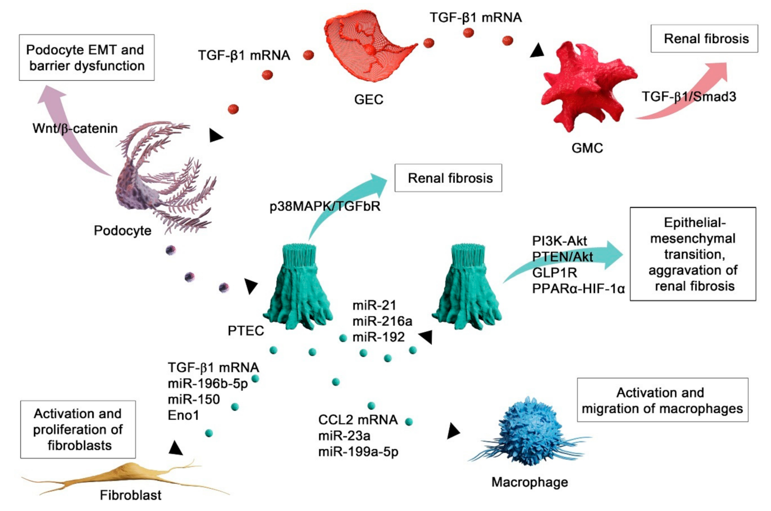 Ijms 22 03887 g002 Ijms 22 03887 g002