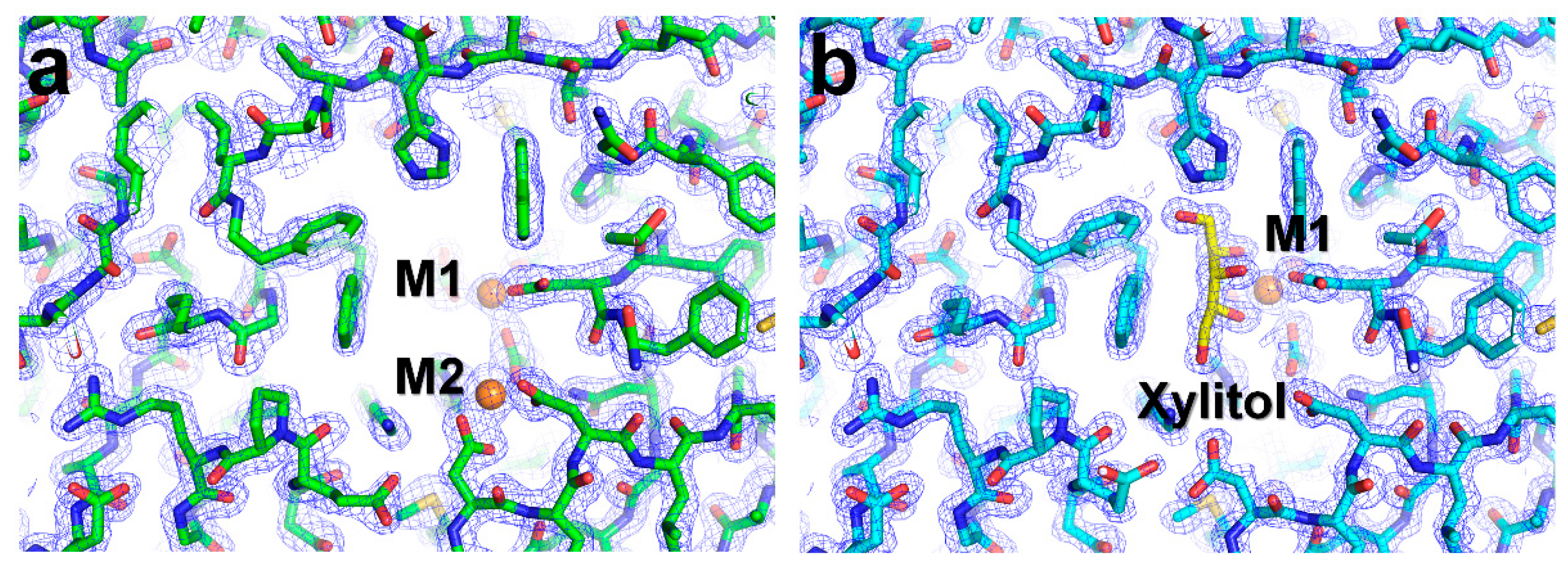 Ijms 22 03892 g001 Ijms 22 03892 g001