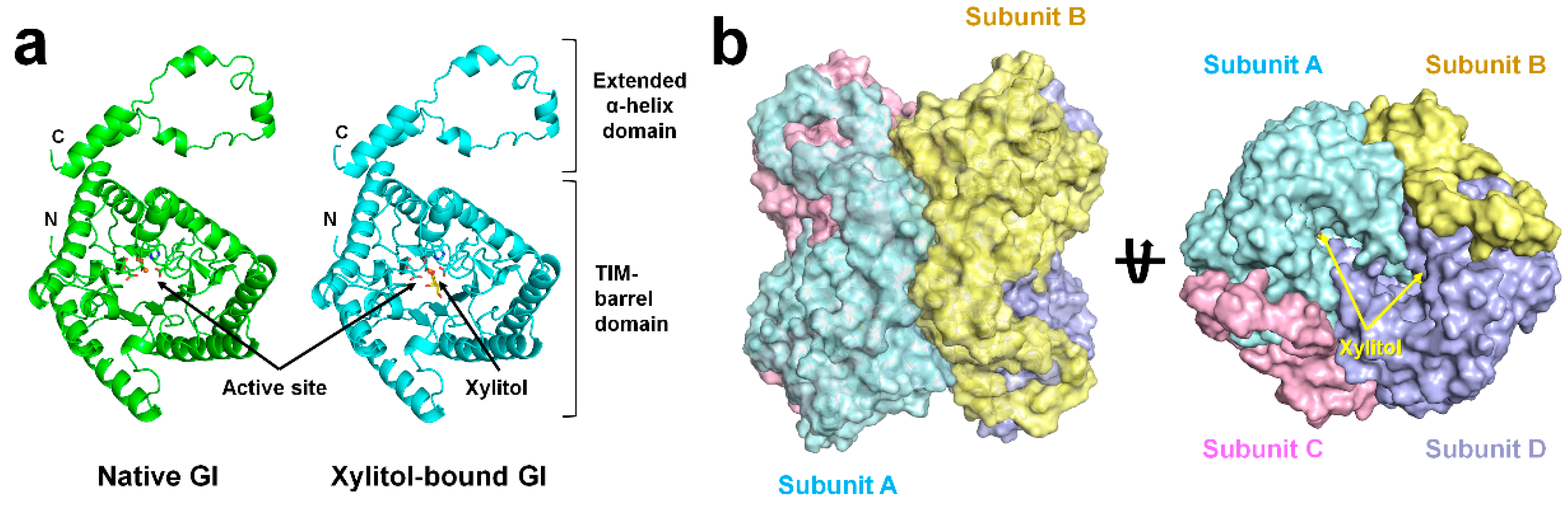 Ijms 22 03892 g002 Ijms 22 03892 g002