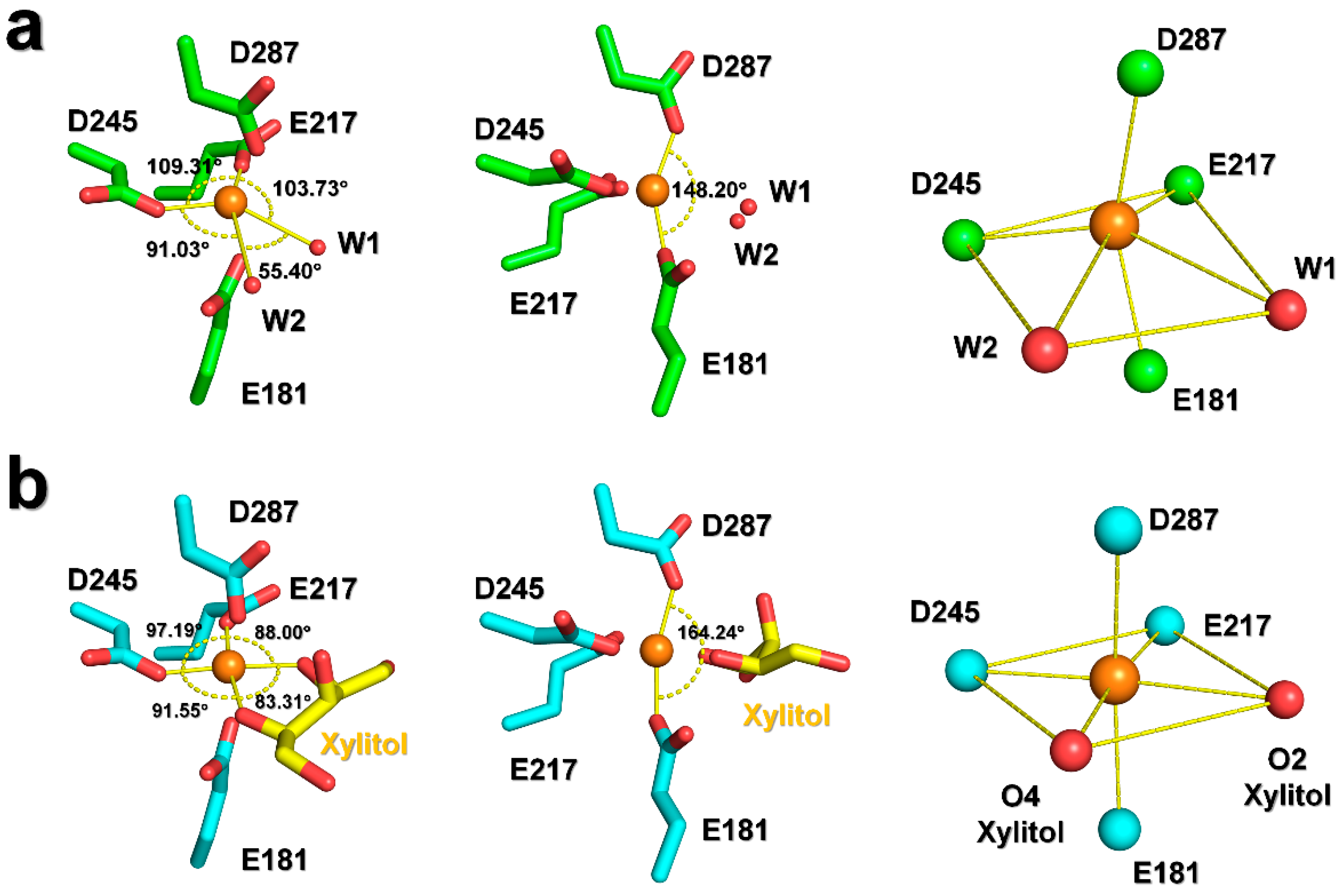 Ijms 22 03892 g005 Ijms 22 03892 g005