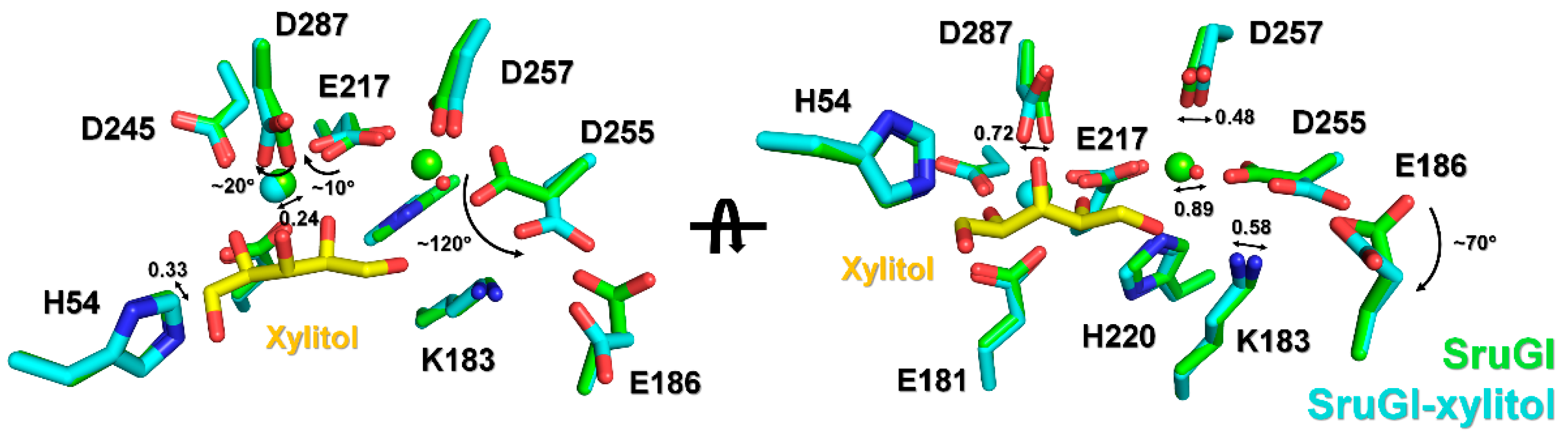 Ijms 22 03892 g006 Ijms 22 03892 g006