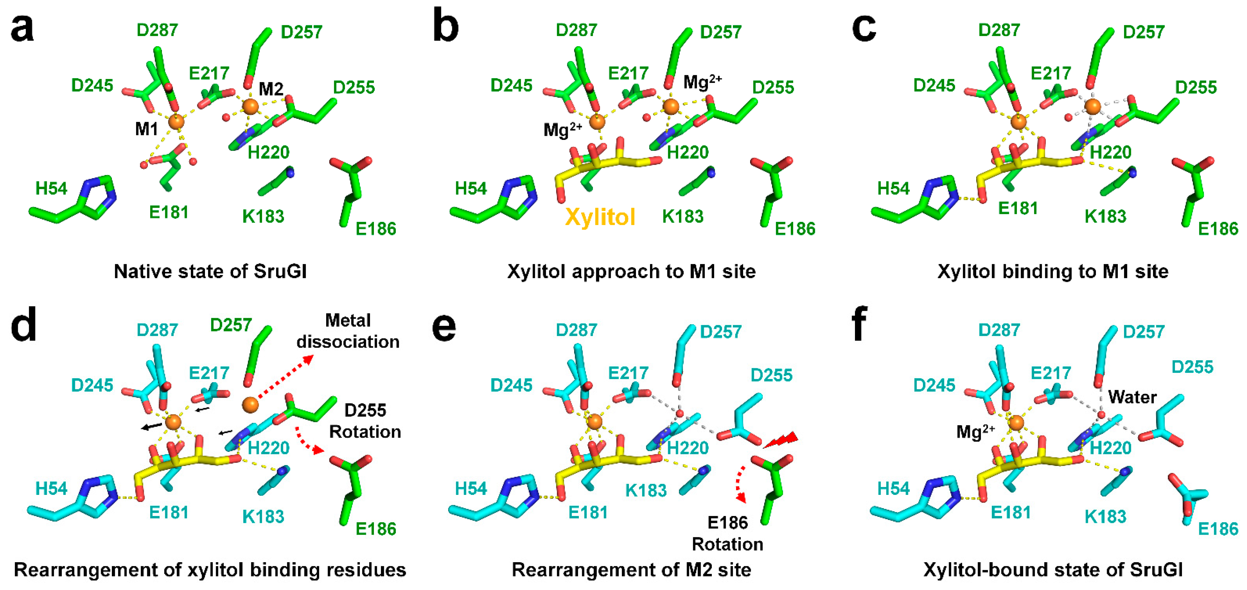 Ijms 22 03892 g007 Ijms 22 03892 g007
