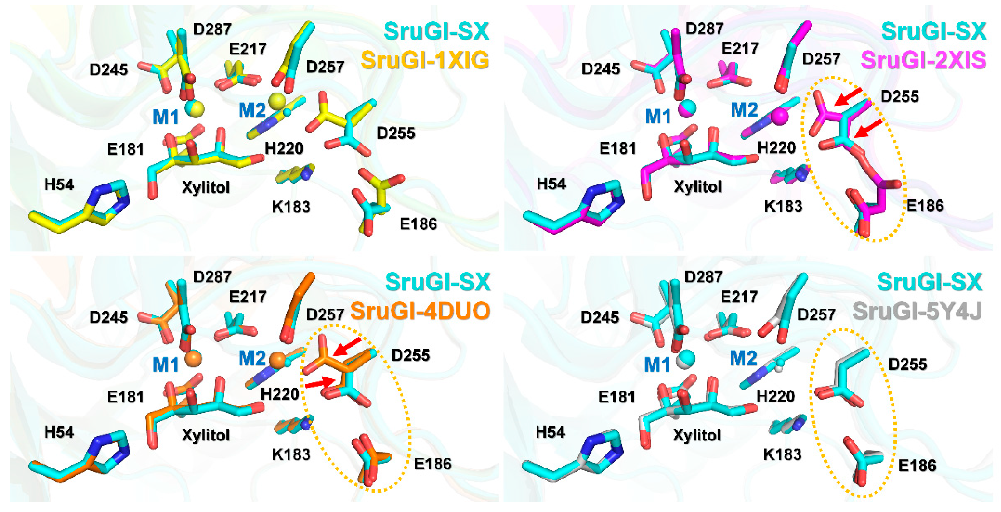 Ijms 22 03892 g008 Ijms 22 03892 g008
