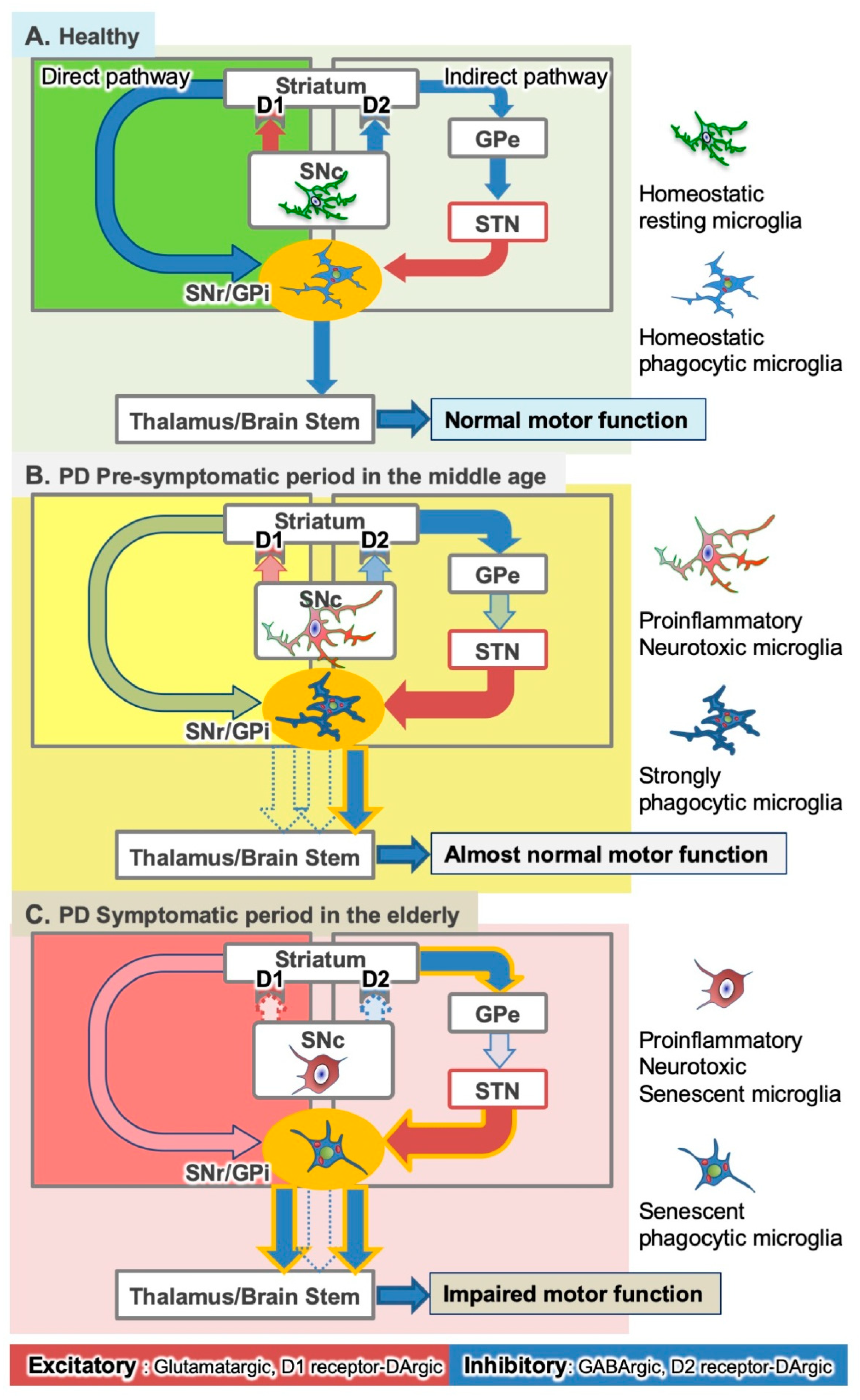 Ijms 22 03907 g001 Ijms 22 03907 g001