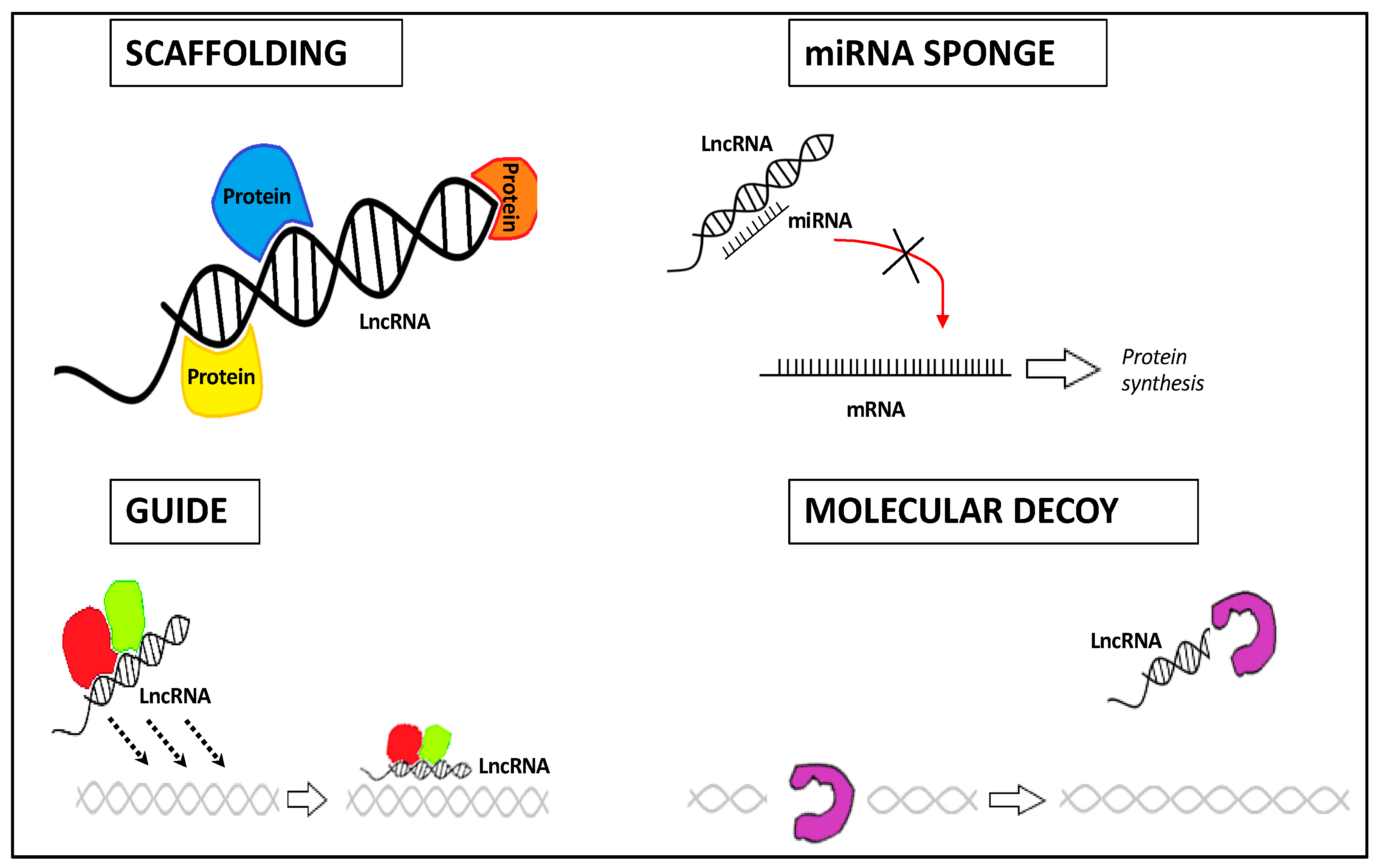 Ijms 22 03909 g001 Ijms 22 03909 g001