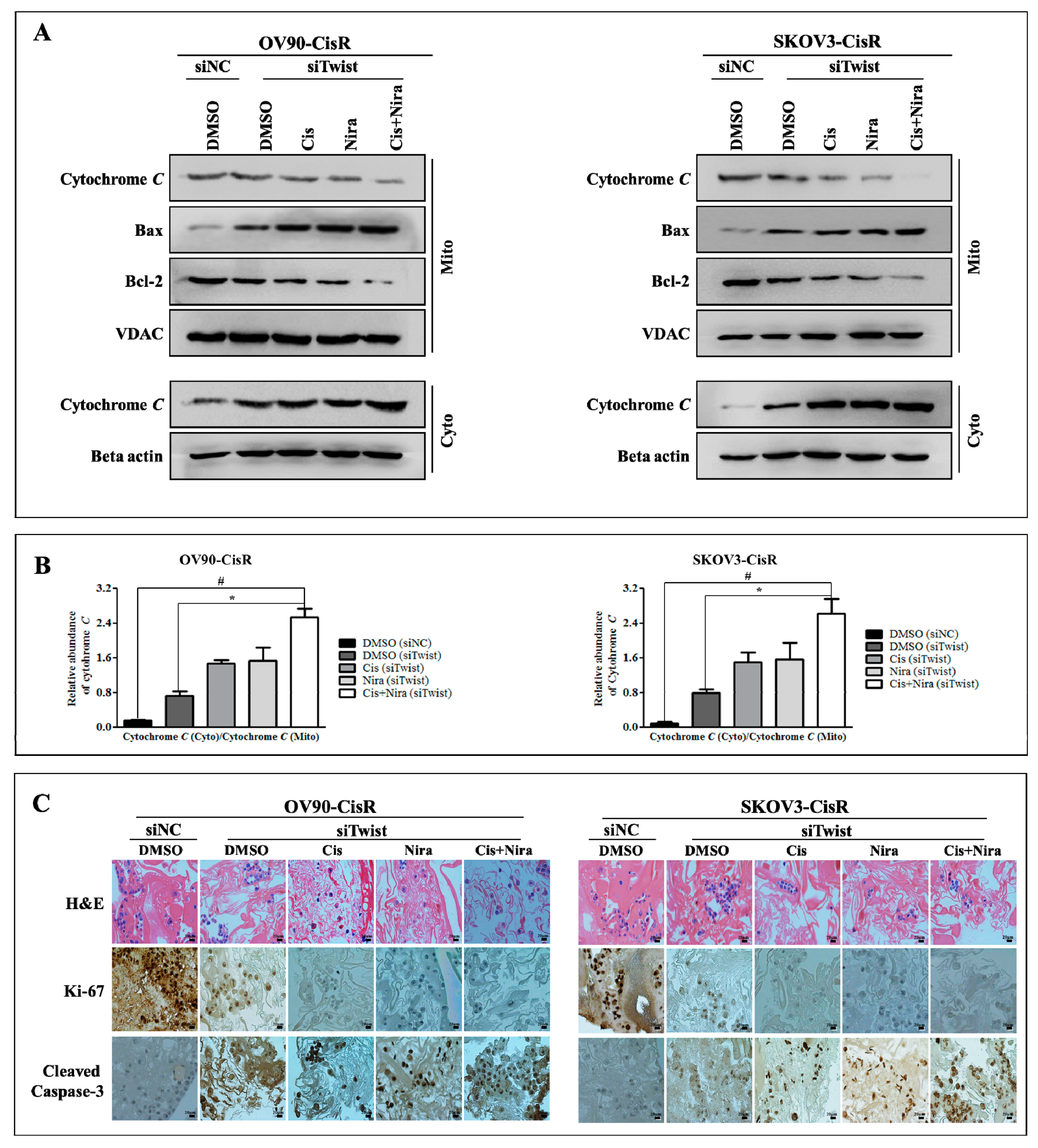 Ijms 22 03916 g009 Ijms 22 03916 g009
