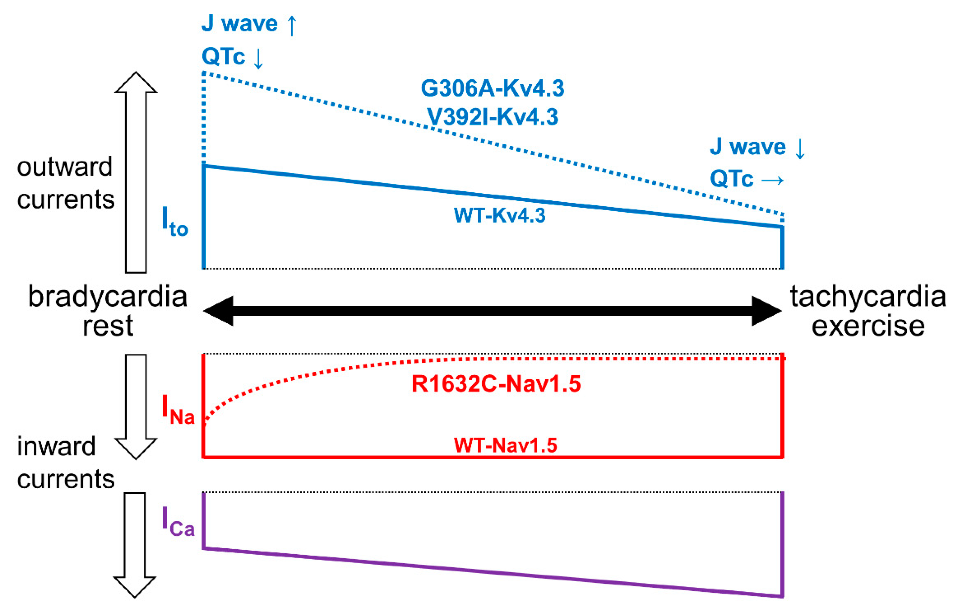 Ijms 22 03930 g002