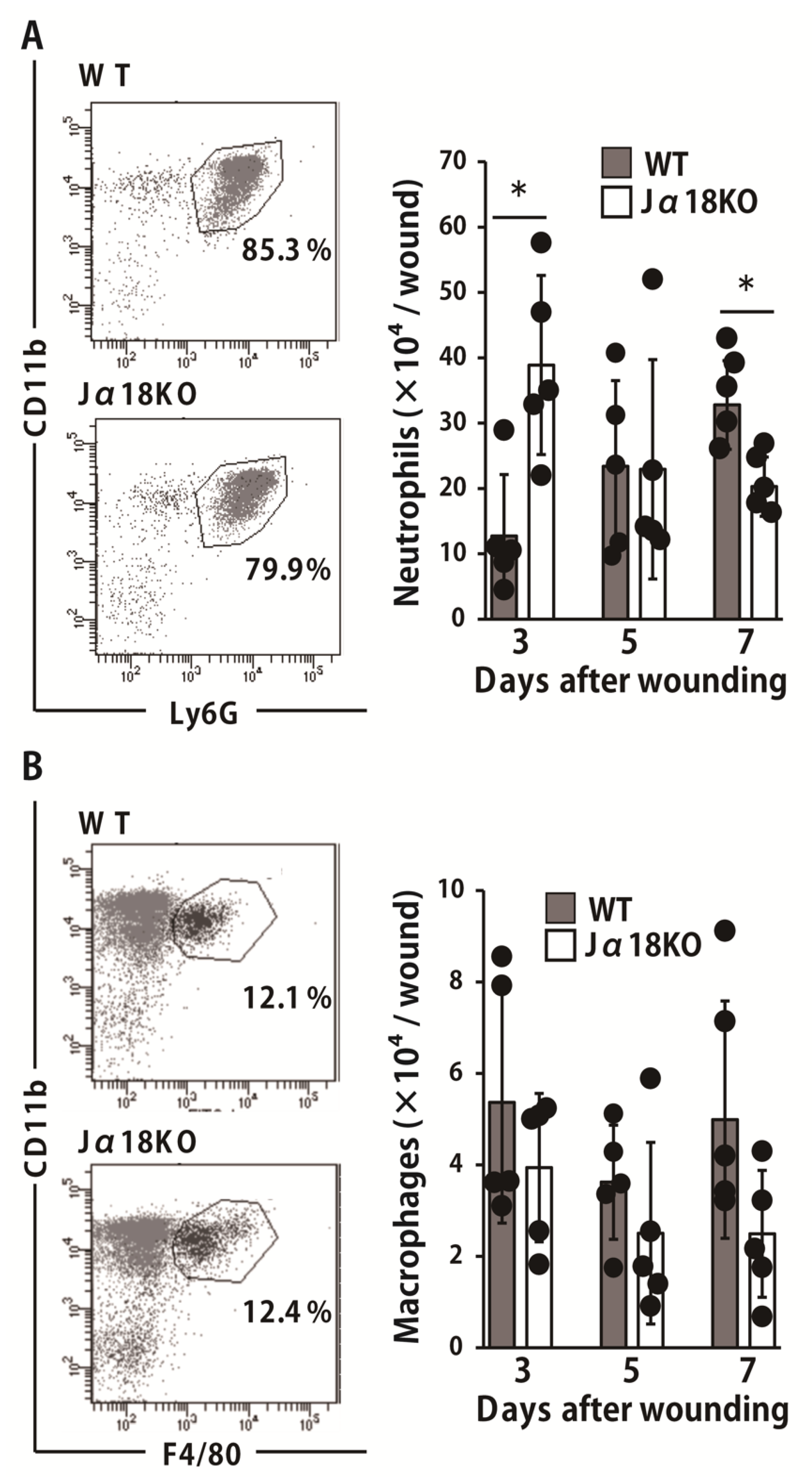Ijms 22 03931 g002 Ijms 22 03931 g002