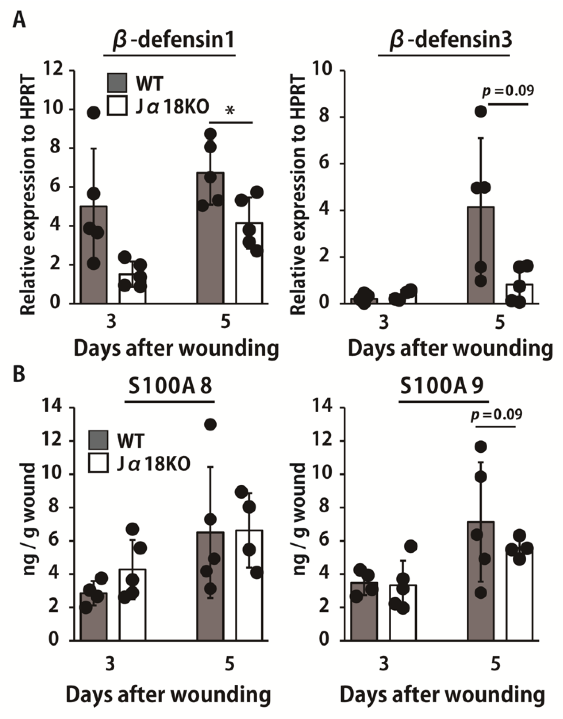 Ijms 22 03931 g003 Ijms 22 03931 g003