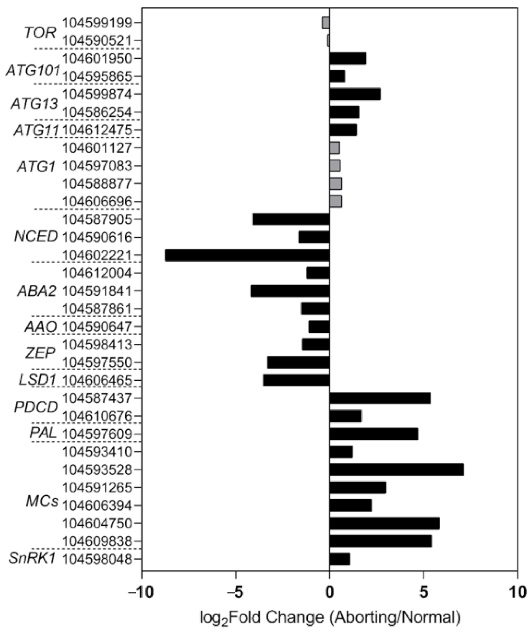 Ijms 22 03932 g005 Ijms 22 03932 g005