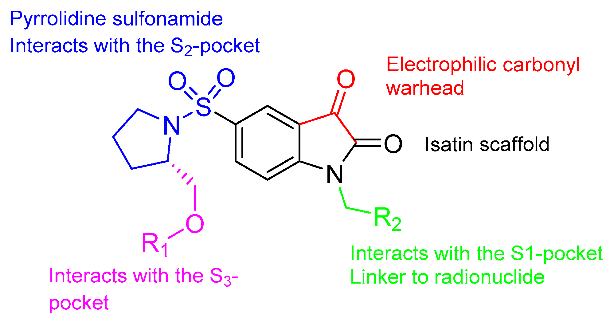 Ijms 22 03948 g002 Ijms 22 03948 g002