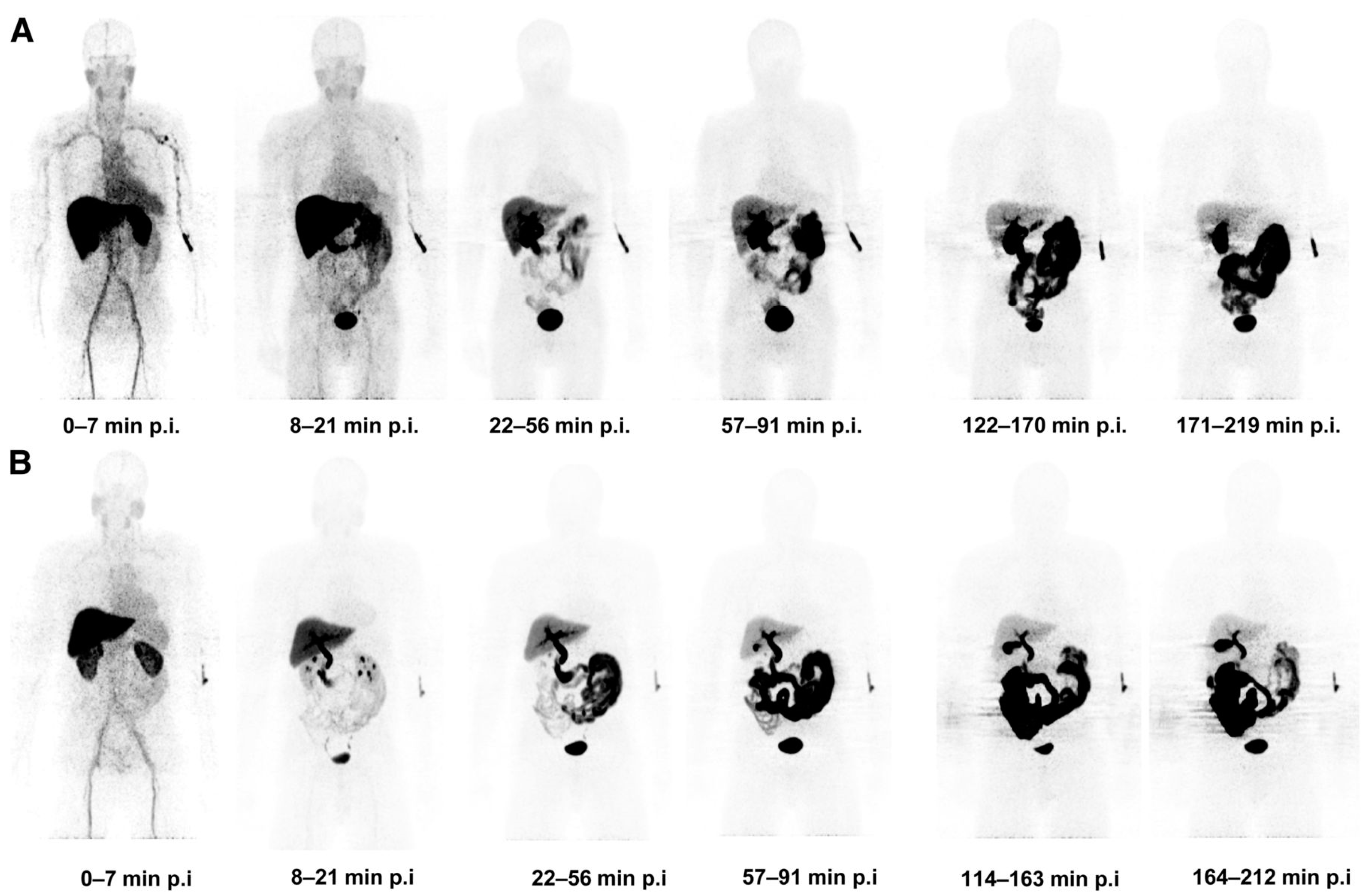 Ijms 22 03948 g004 Ijms 22 03948 g004