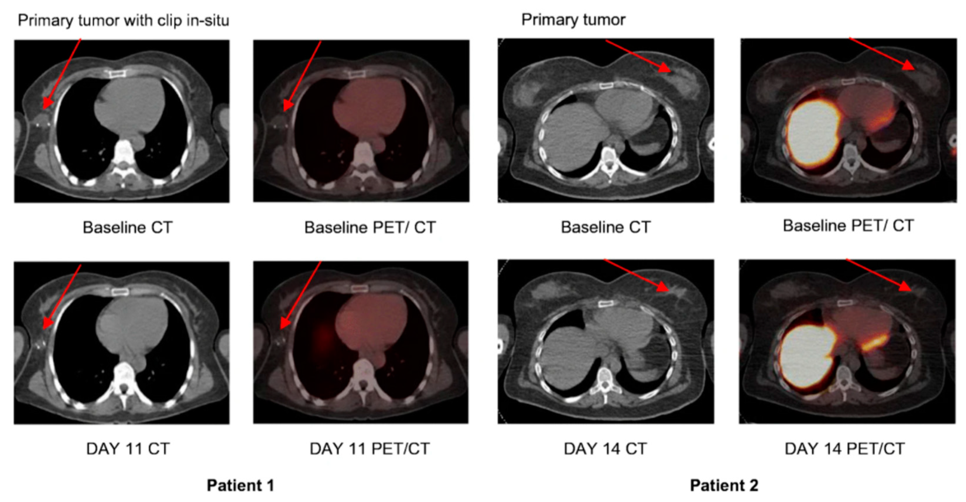 Ijms 22 03948 g005 Ijms 22 03948 g005
