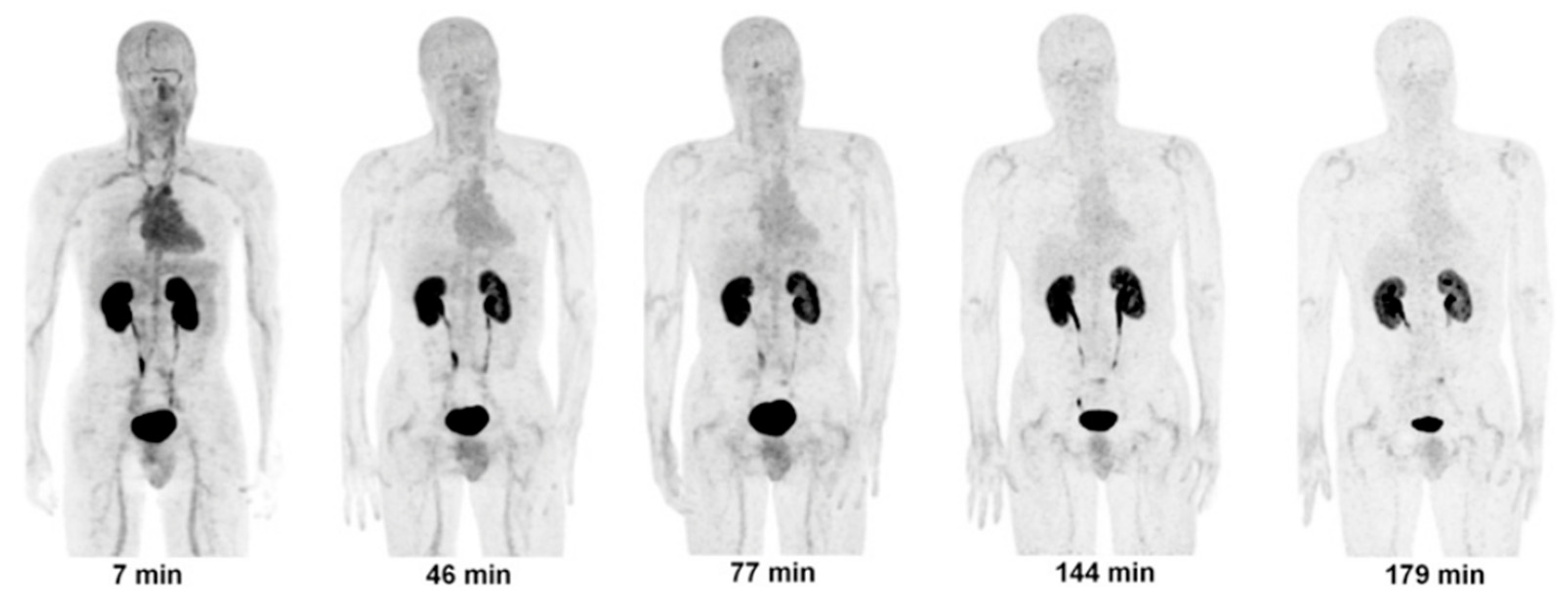 Ijms 22 03948 g006 Ijms 22 03948 g006