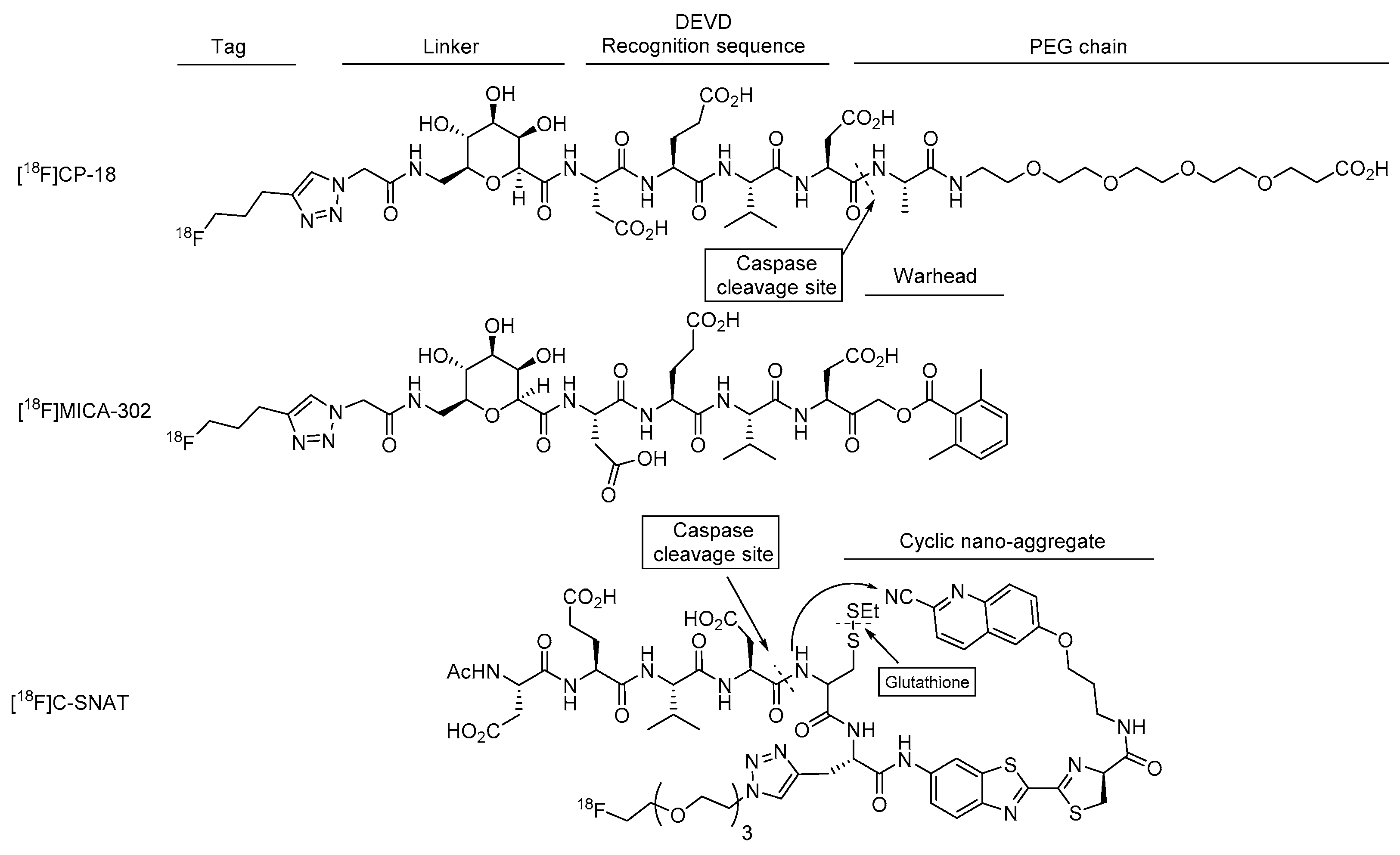 Ijms 22 03948 g007 Ijms 22 03948 g007