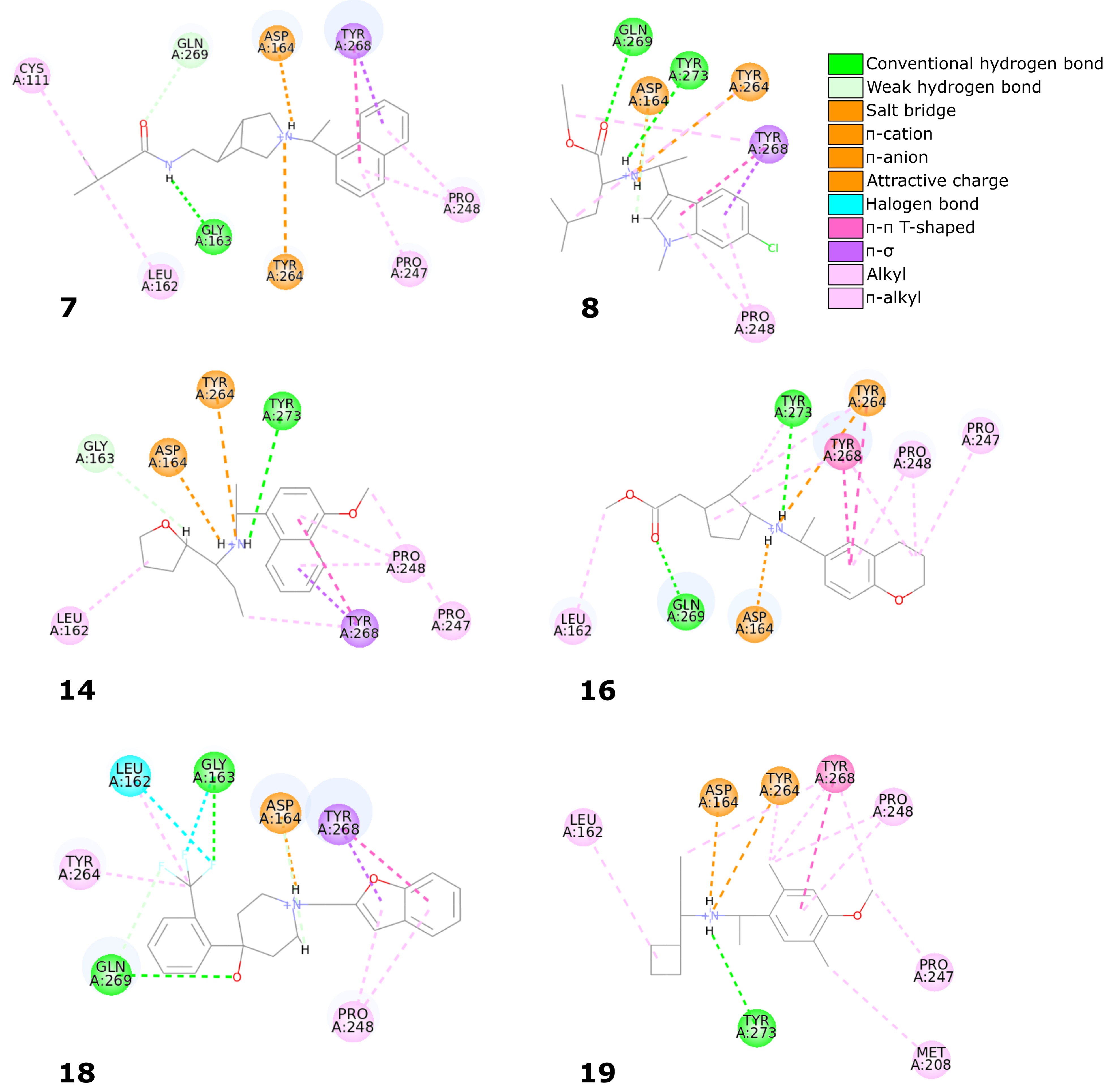 Ijms 22 03957 g008 Ijms 22 03957 g008