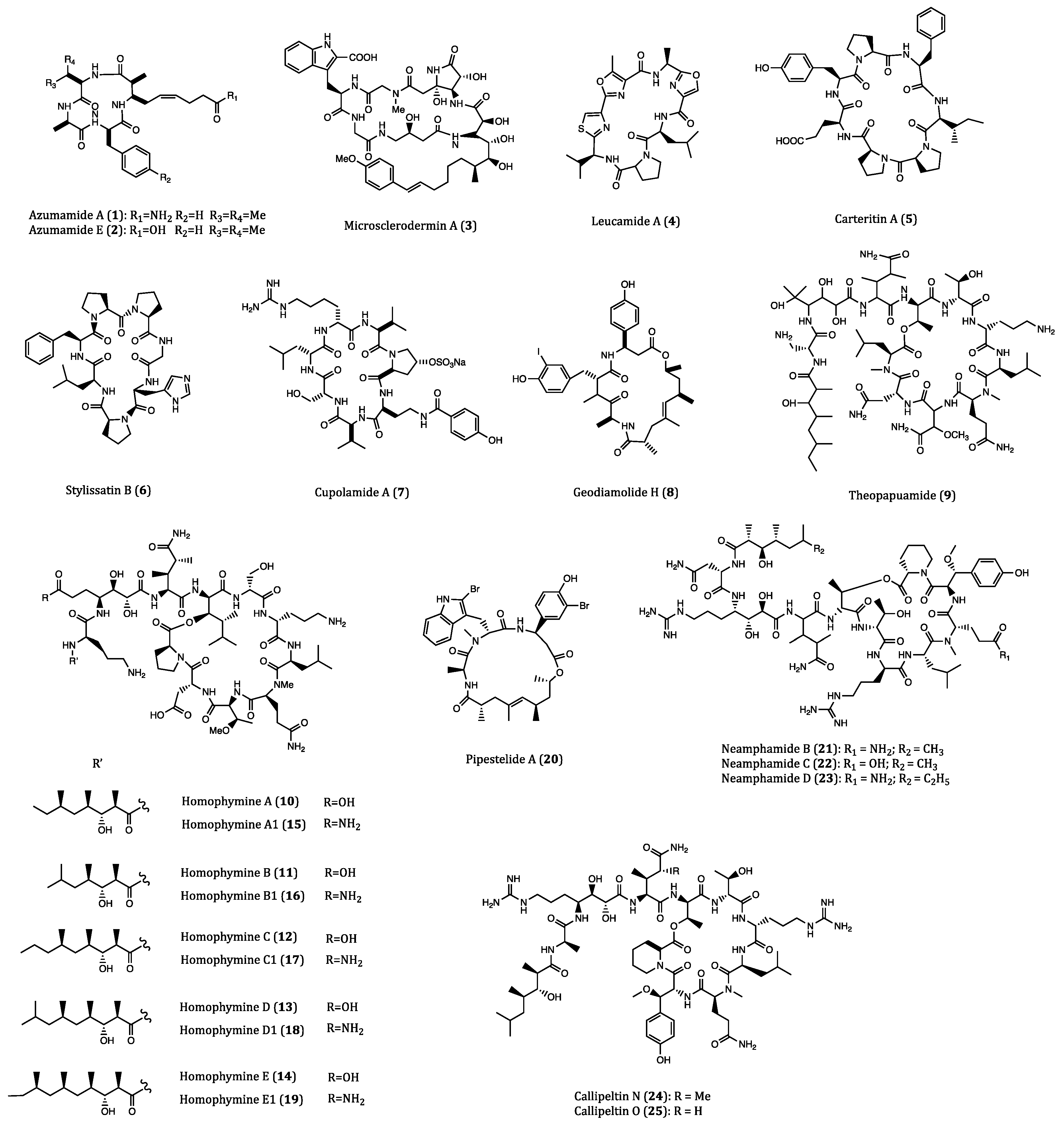 Ijms 22 03973 g001a Ijms 22 03973 g001a