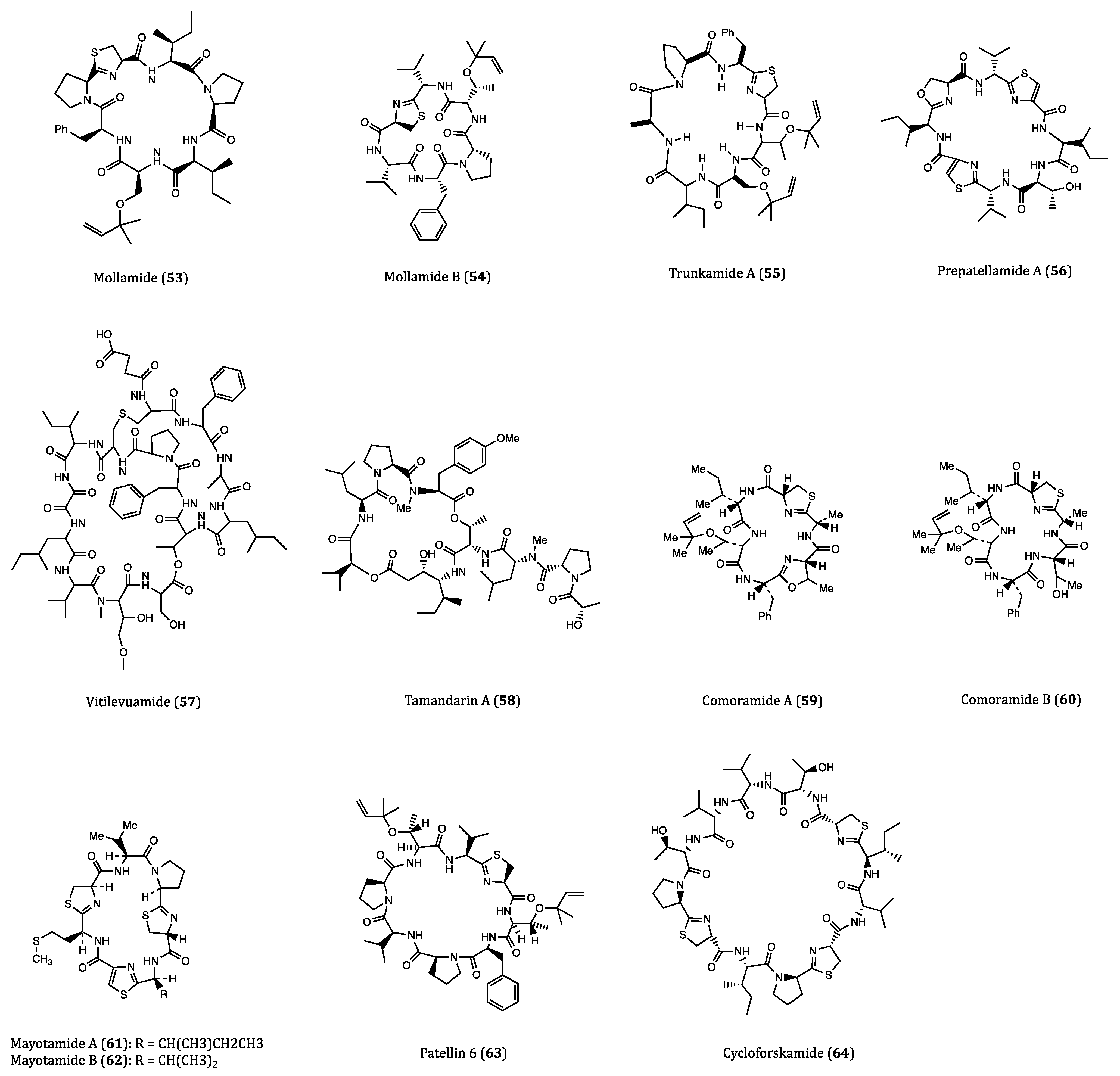 Ijms 22 03973 g002 Ijms 22 03973 g002