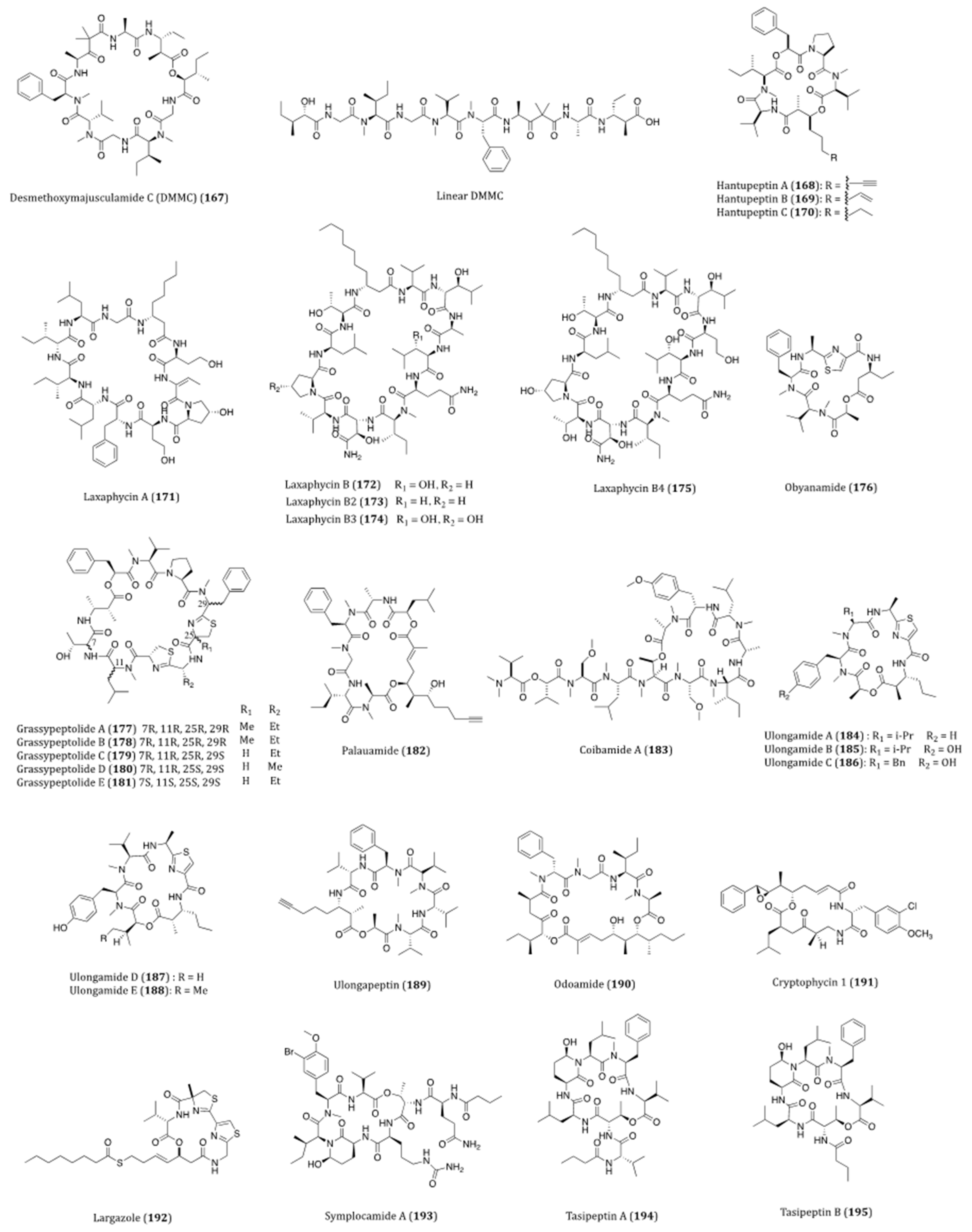 Ijms 22 03973 g008b Ijms 22 03973 g008b